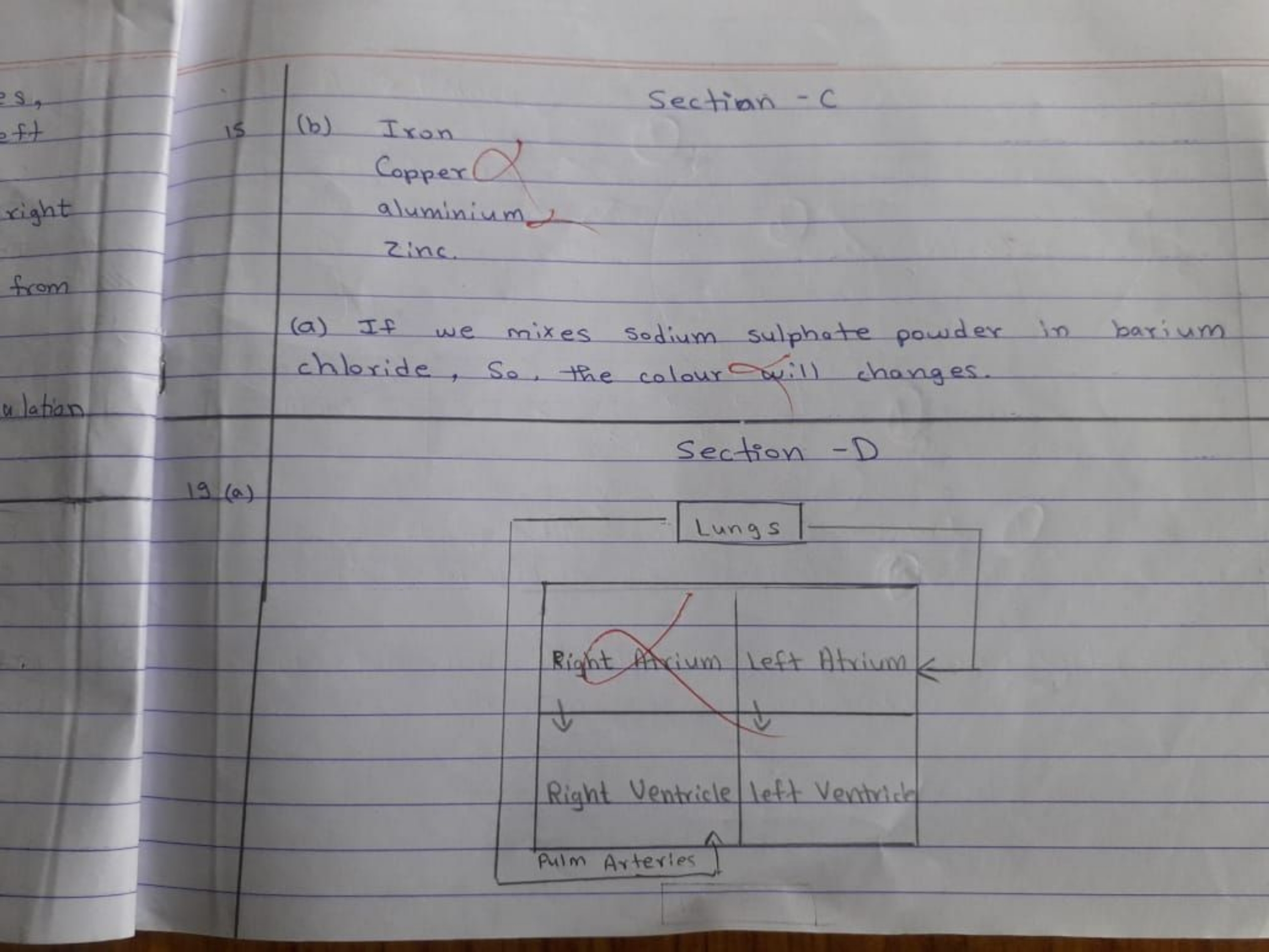 es,
ft
right
from
is (b) Iron Copper

Section −C
aluminium
zinc.
(a) I