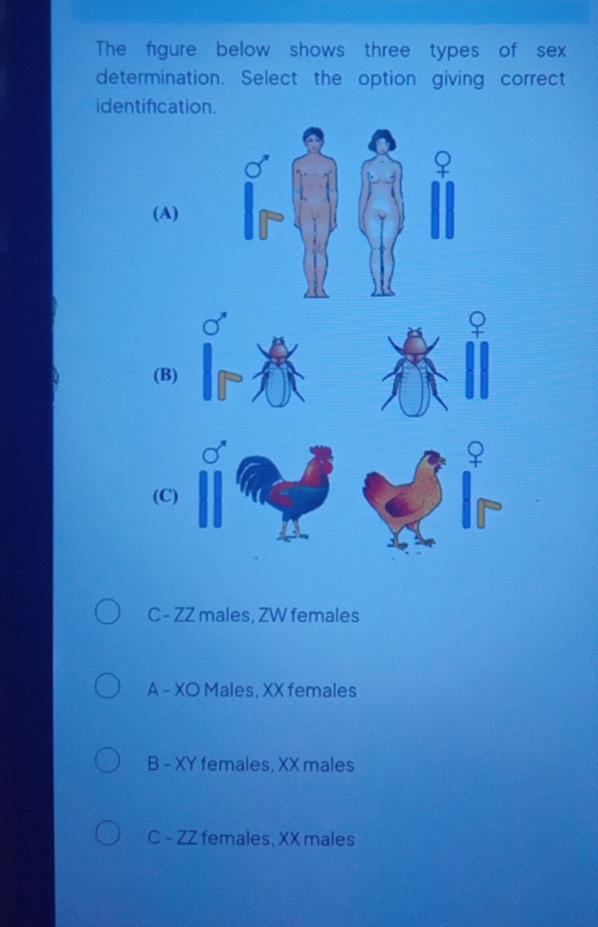 The figure below shows three types of sex determination. Select the op