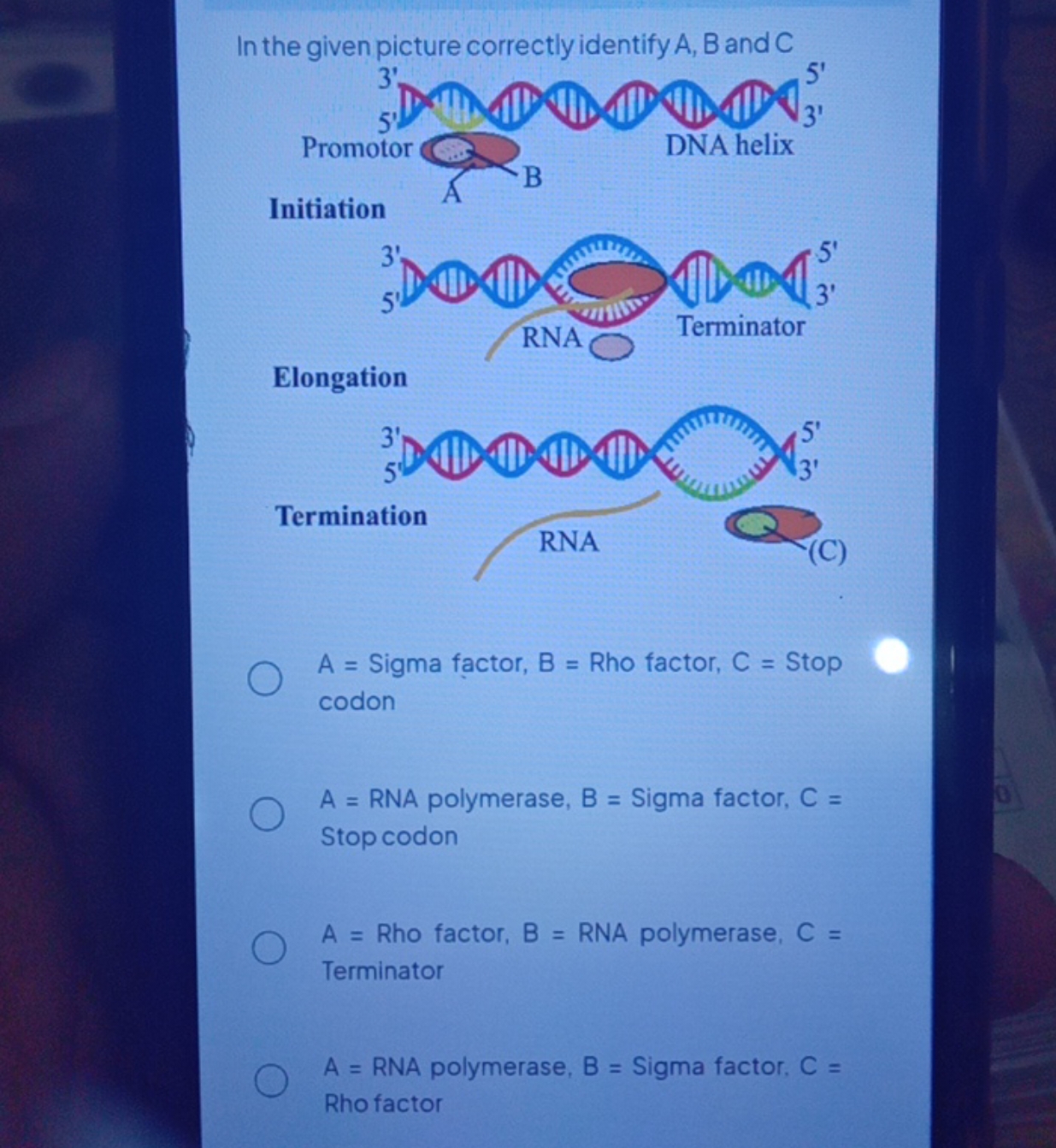 In the given picture correctly identify A,B and C
A= Sigma factor, B= 