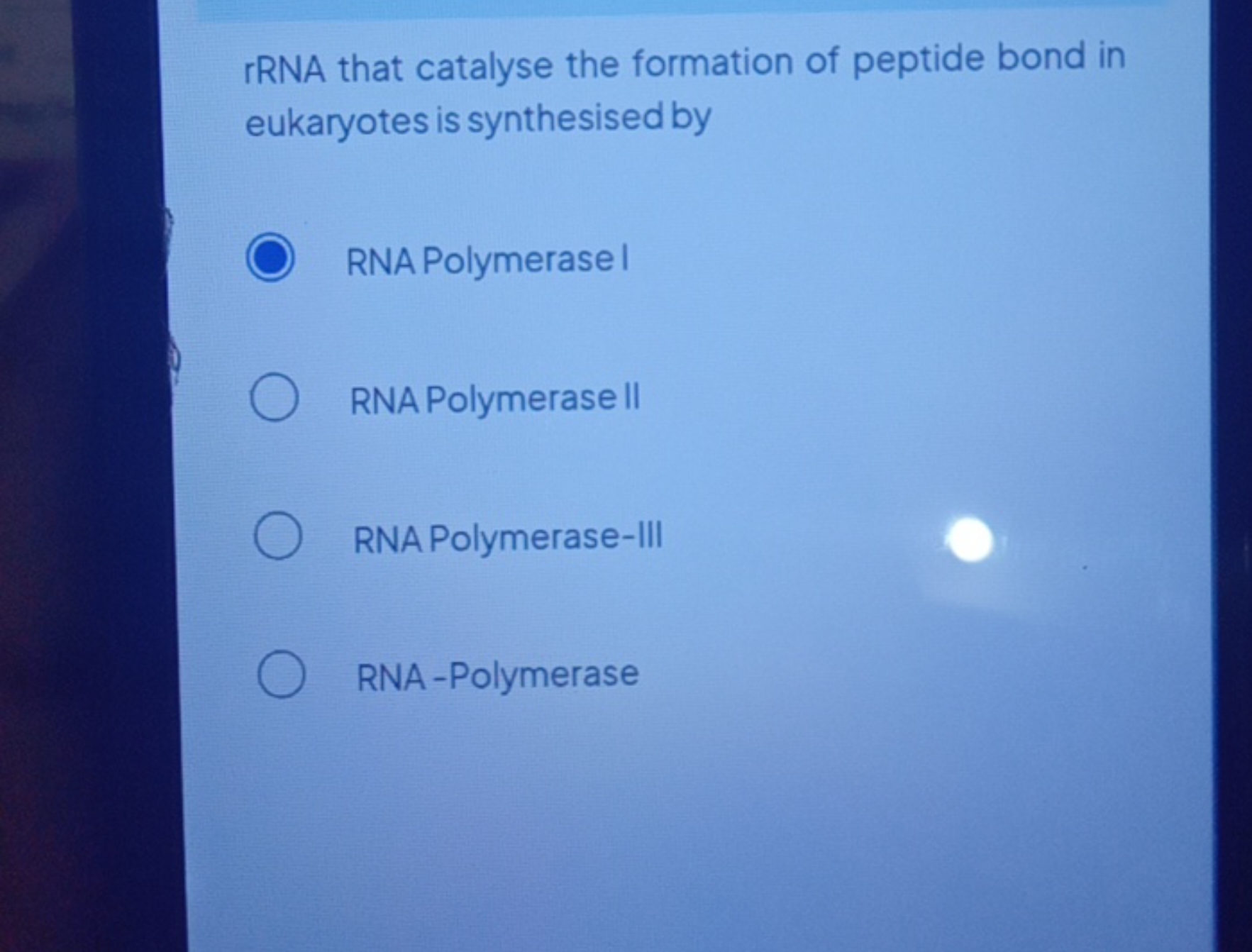 rRNA that catalyse the formation of peptide bond in eukaryotes is synt