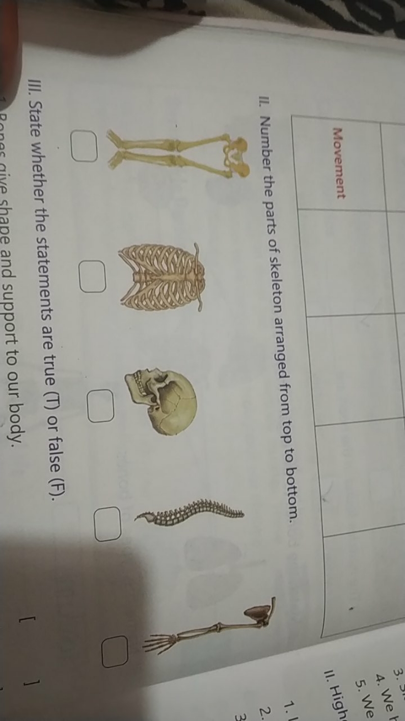 Movement
4. We
5. We
11. High
II. Number the parts of skeleton arrange