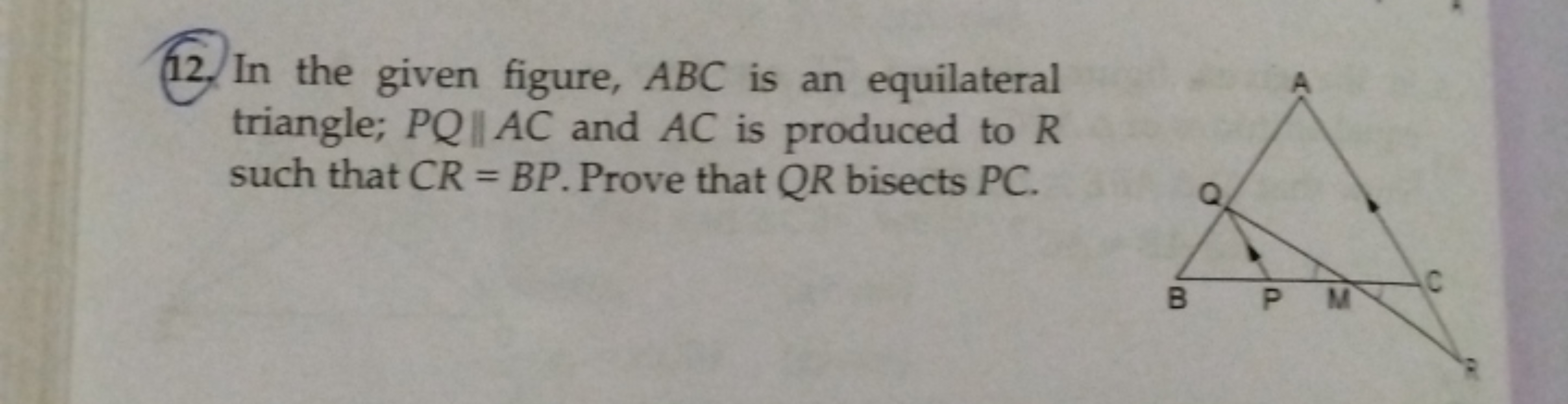 12. In the given figure, ABC is an equilateral triangle; PQ∥AC and AC 