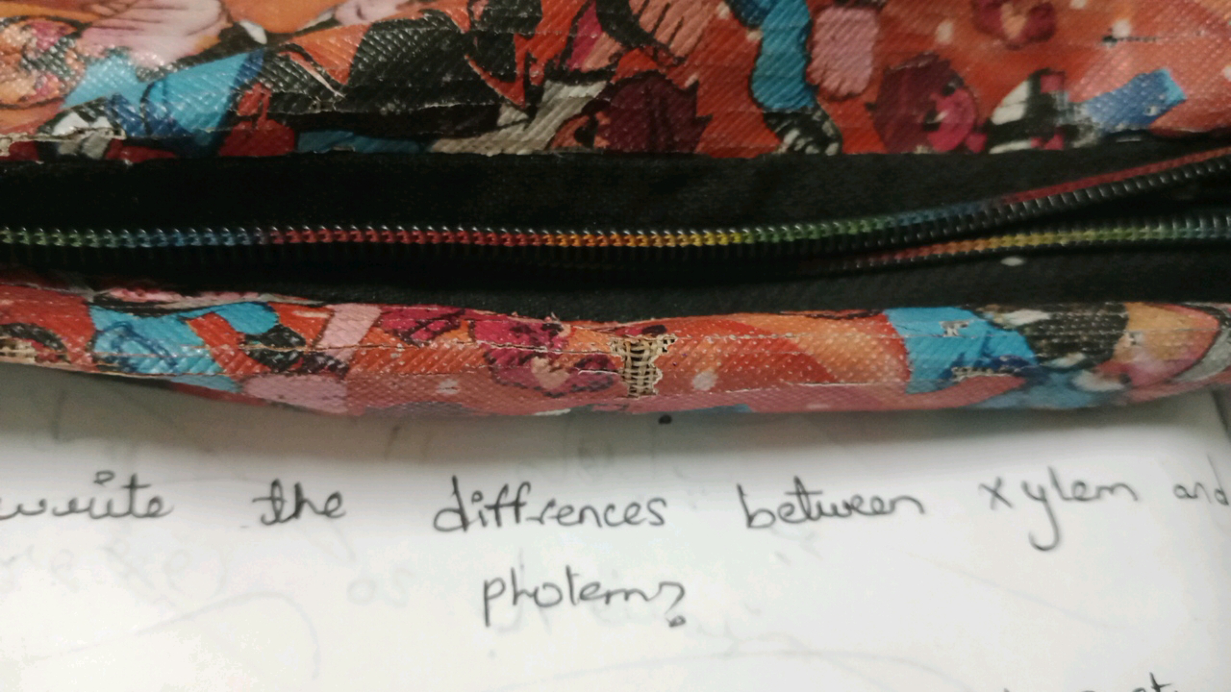 write the differences between xy lem an photem?