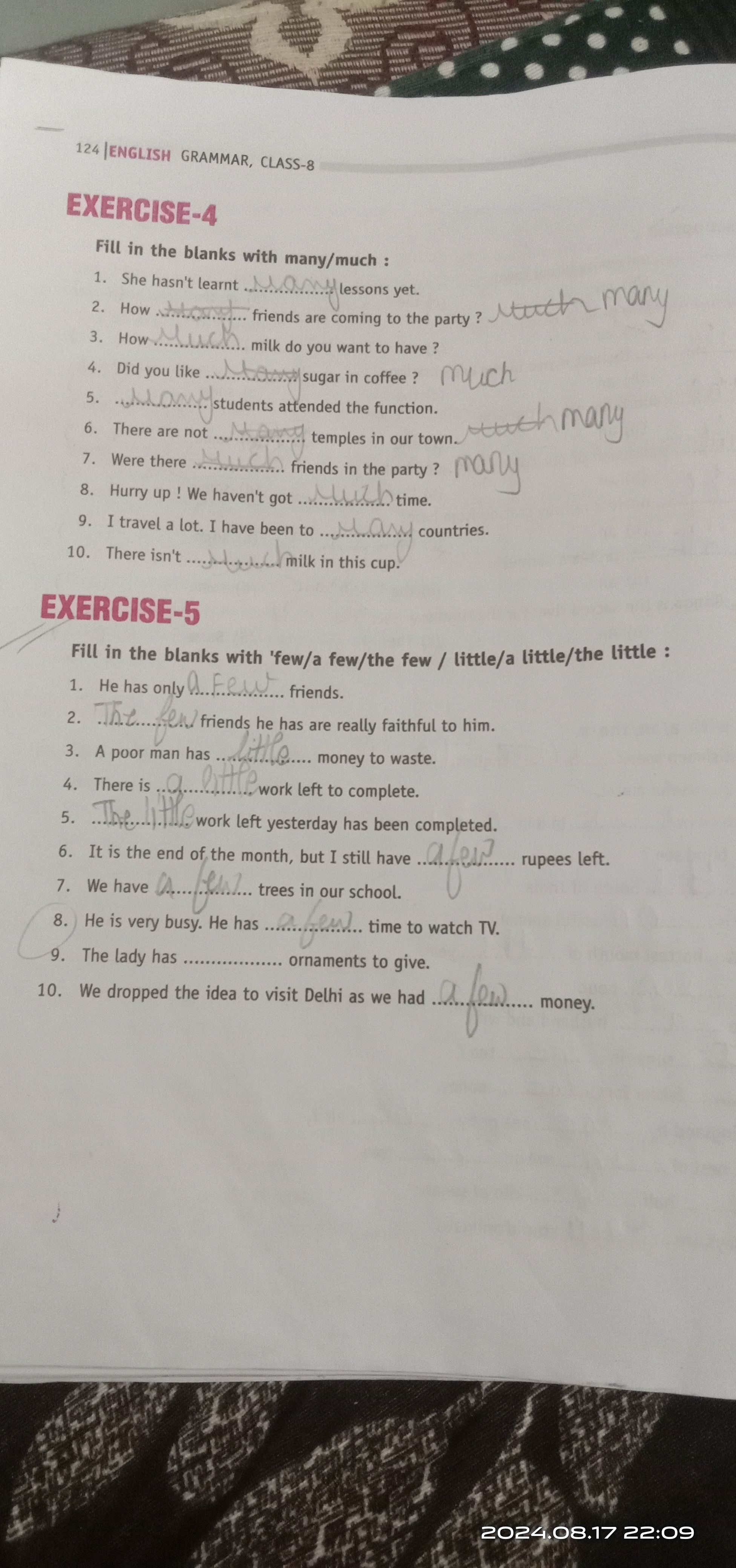 124 |ENGLISH GRAMMAR, CLASS-8
EXERCISE-4
Fill in the blanks with many/