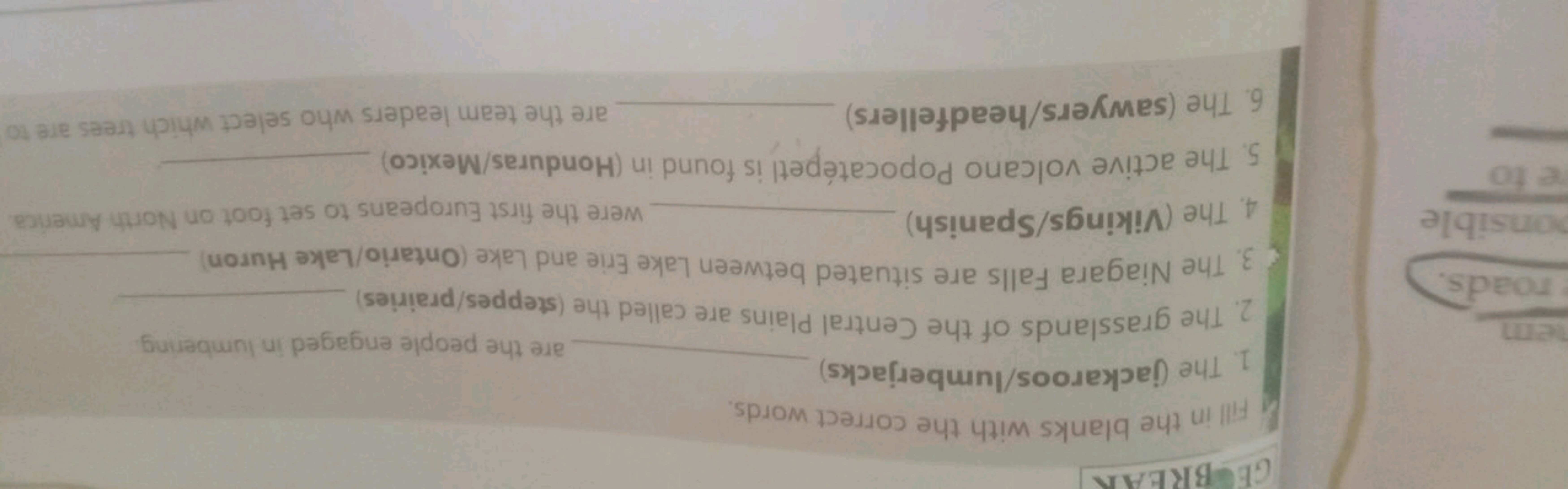 Fill in the blanks with the correct words.
1. The (jackaroos/lumberjac