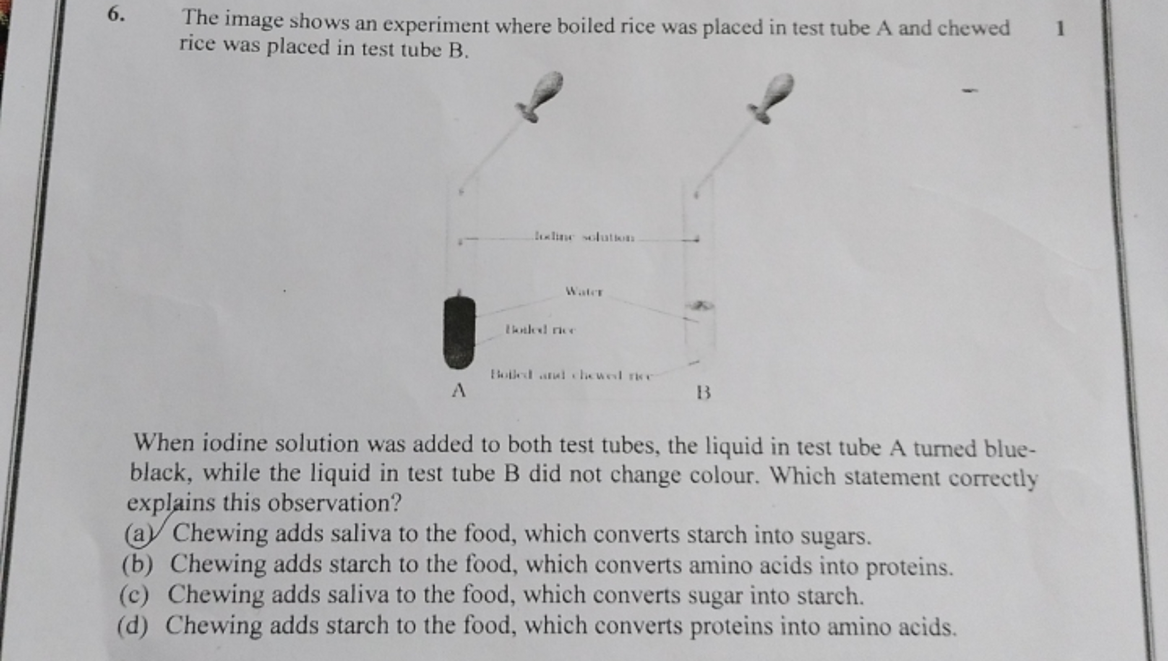 6. The image shows an experiment where boiled rice was placed in test 