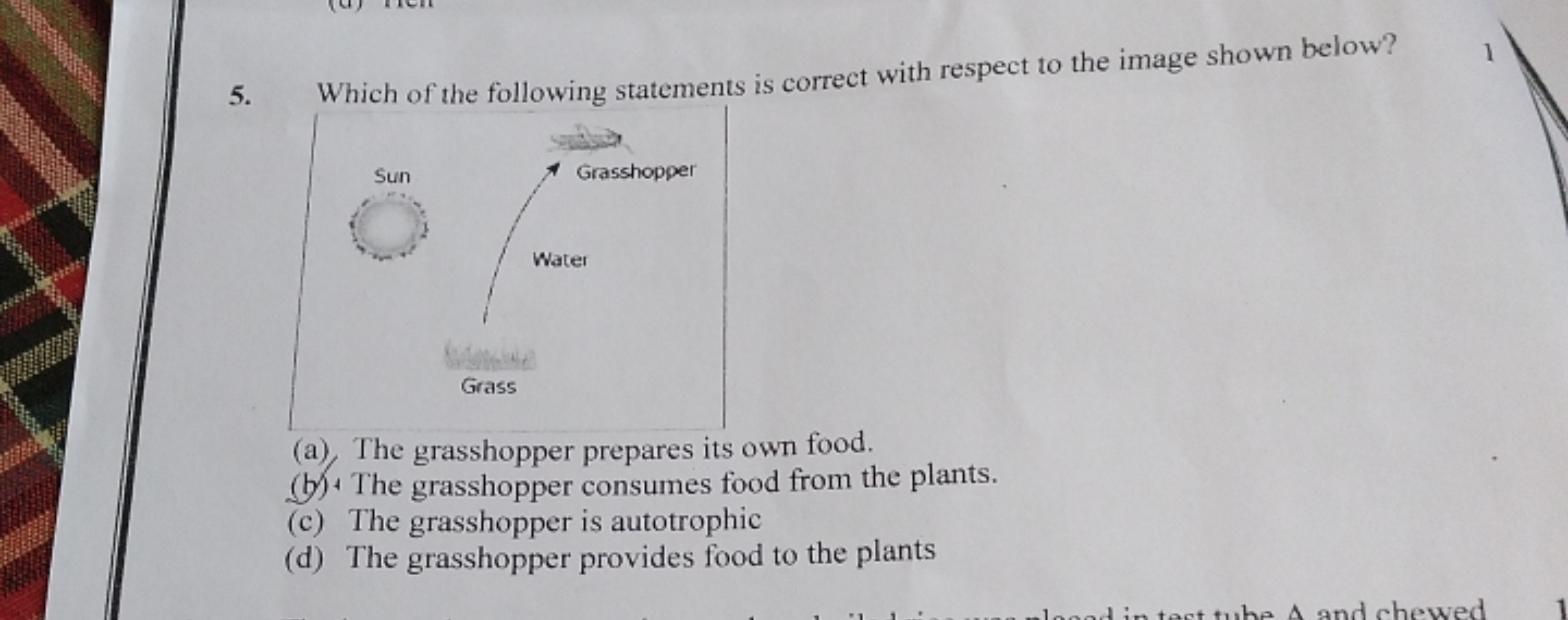 5. Which of the following statements is correct with respect to the im