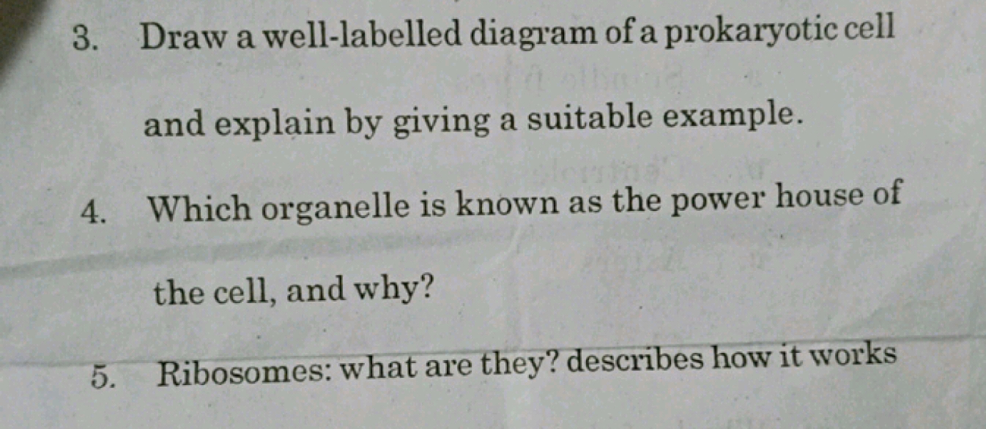 3. Draw a well-labelled diagram of a prokaryotic cell and explain by g