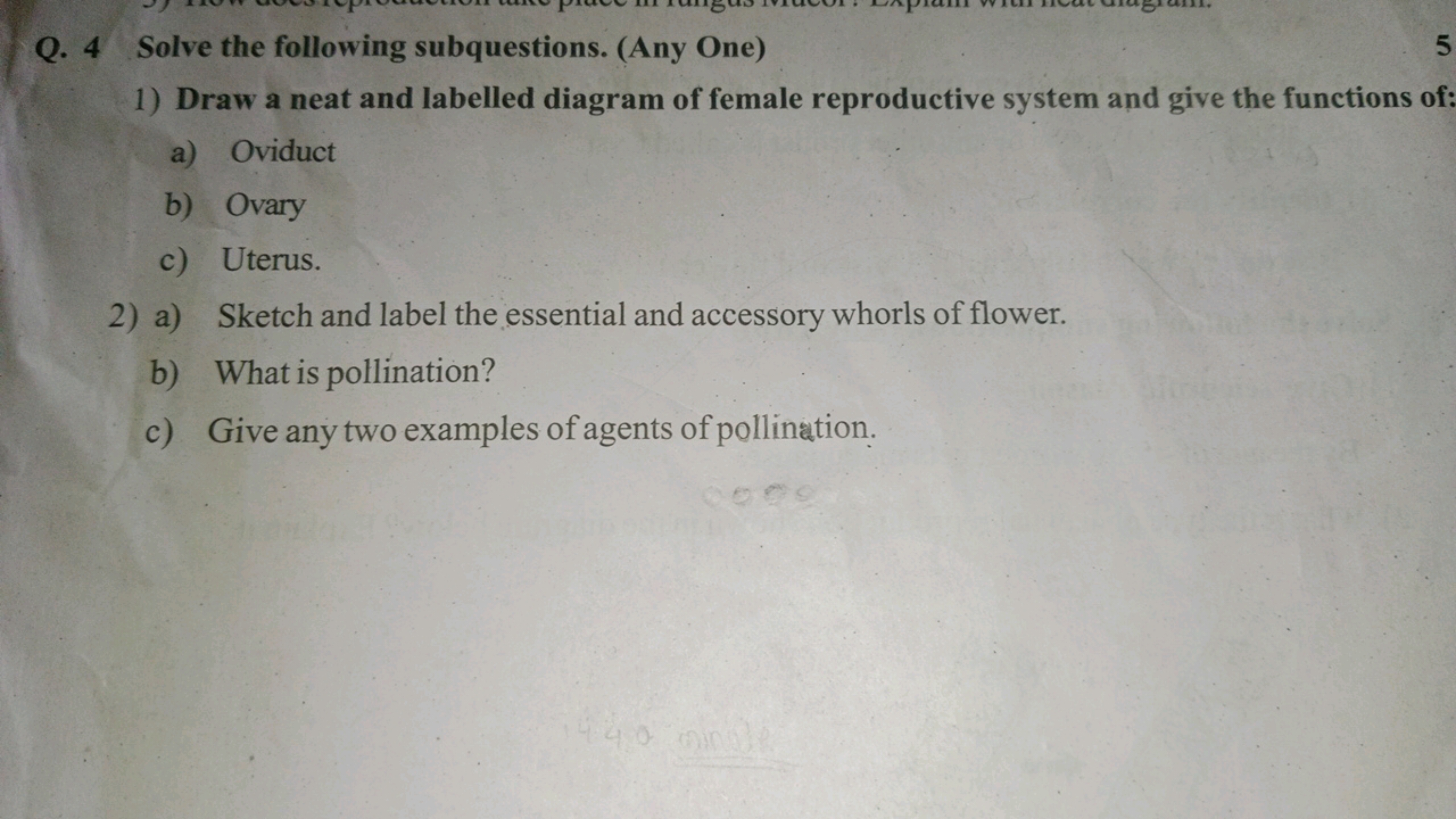 Q. 4 Solve the following subquestions. (Any One)
1) Draw a neat and la