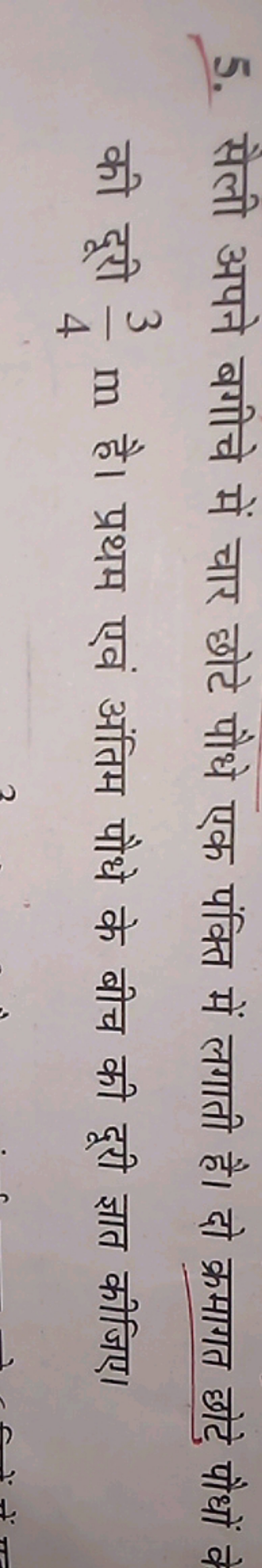 5. सैली अपने बगीचे में चार छोटे पौधे एक पंक्ति में लगाती है। दो क्रमाग