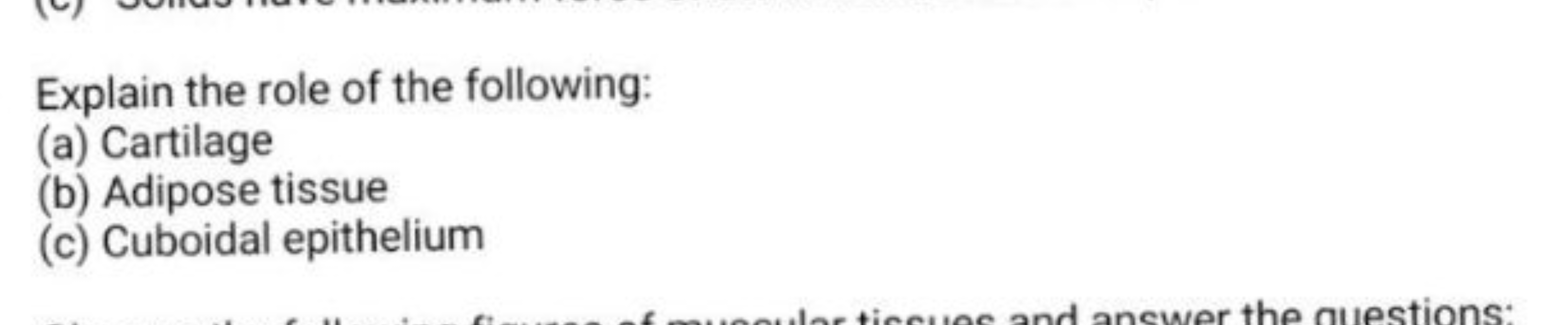 Explain the role of the following:
(a) Cartilage
(b) Adipose tissue
(c