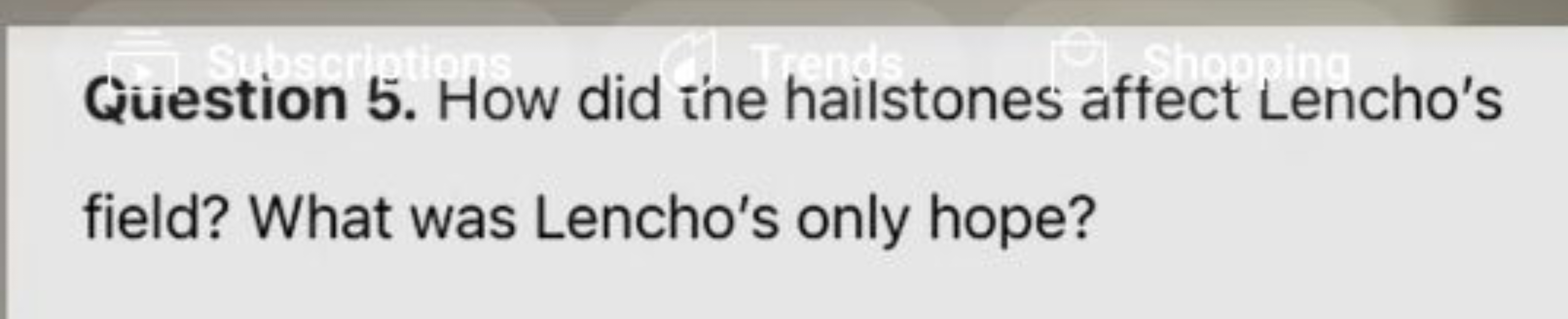 Question 5. How did the hailstones aftect Lencho's field? What was Len