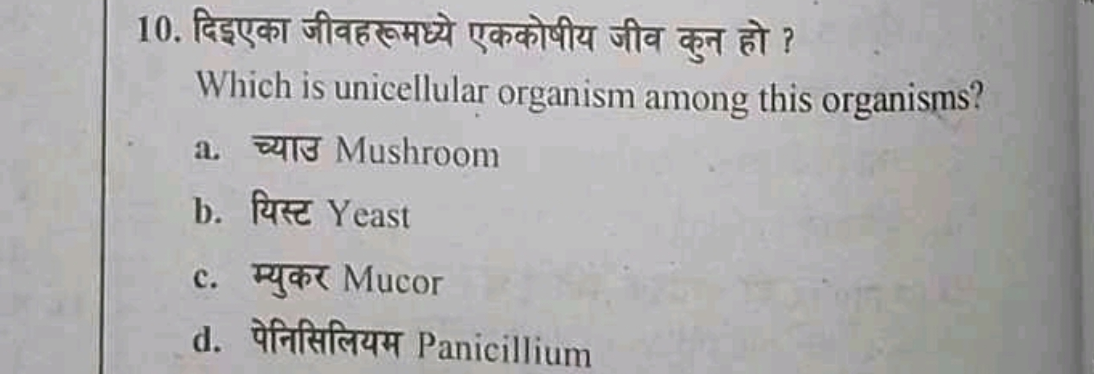 10. दिइएका जीवहरूमध्ये एककोषीय जीव कुन हो ?

Which is unicellular orga