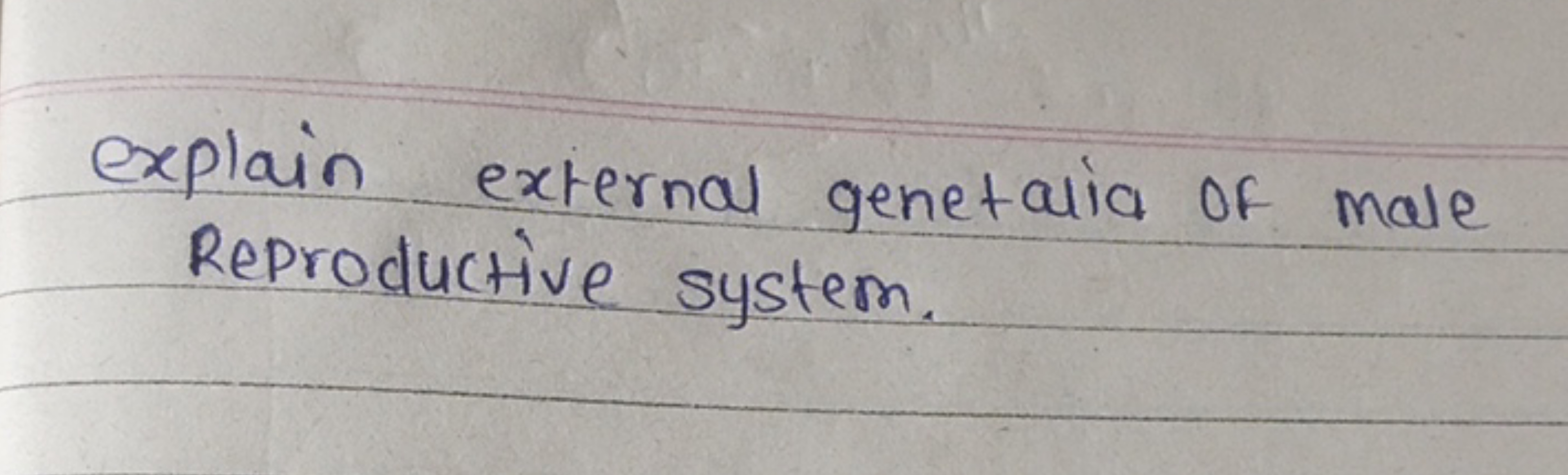 explain external genetalia of male Reproductive system.