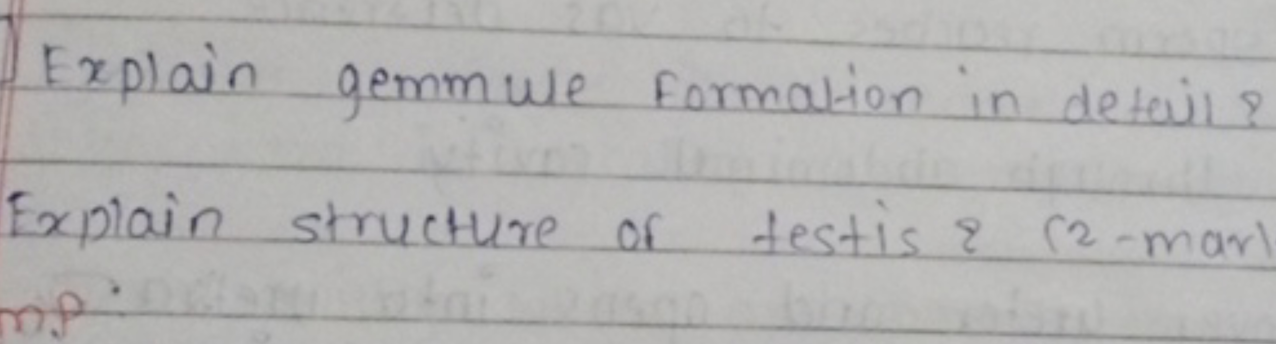 Explain gemmule formation in detail? Explain structure of testis? (2-m