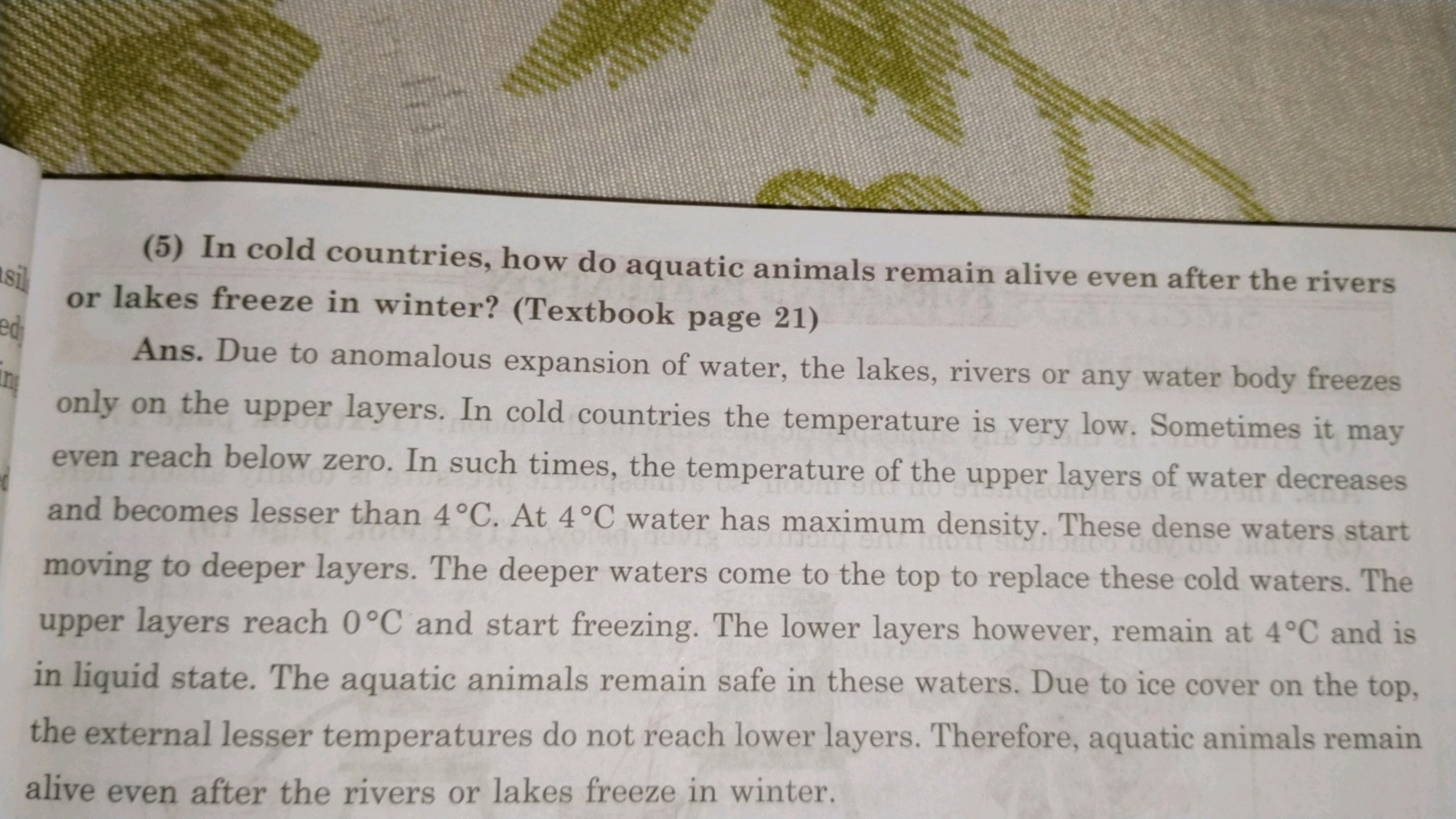 (5) In cold countries, how do aquatic animals remain alive even after 