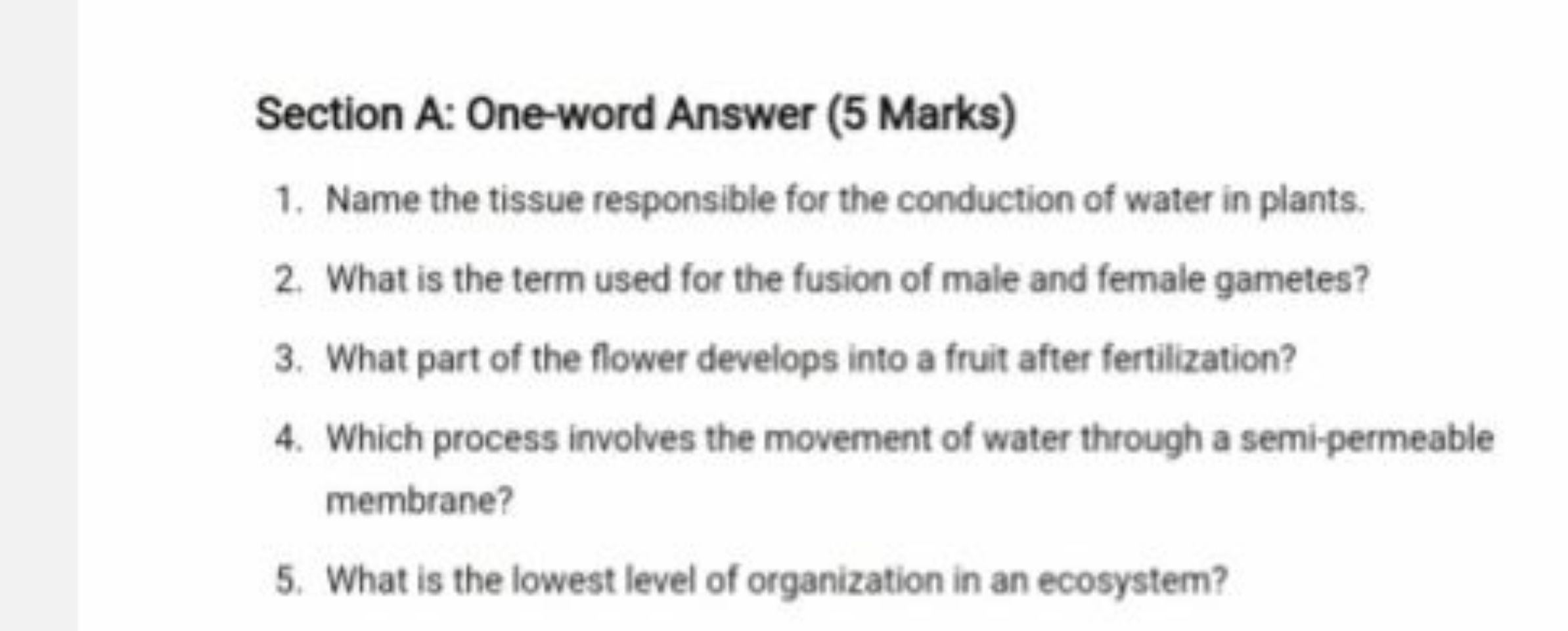 Section A: One-word Answer (5 Marks)
1. Name the tissue responsible fo