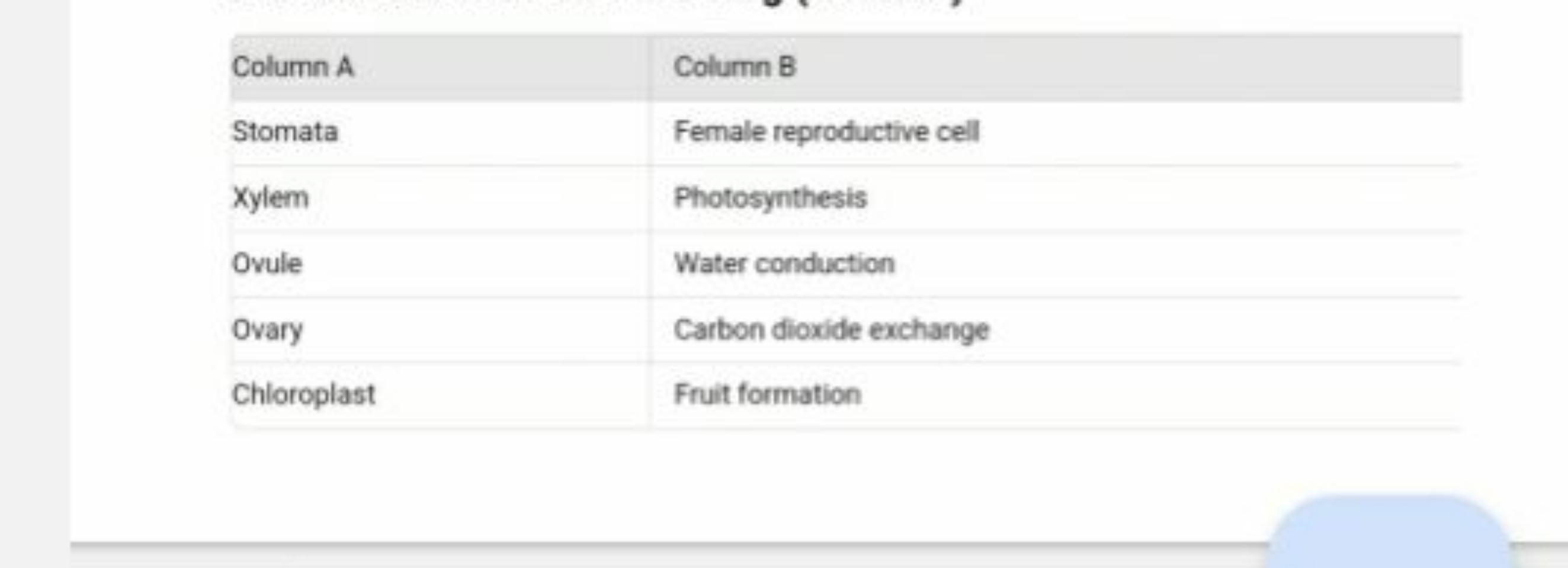 \begin{tabular} { | l | l | } 
\hline Column A & Column B \\
\hline St