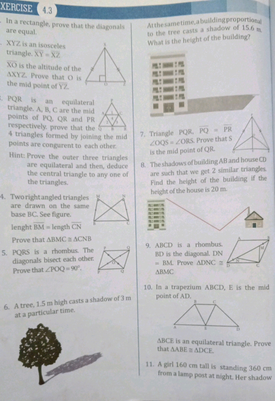 XERCISE
4.3
In a rectangle, prove that the diagonals are equal. XYZ is