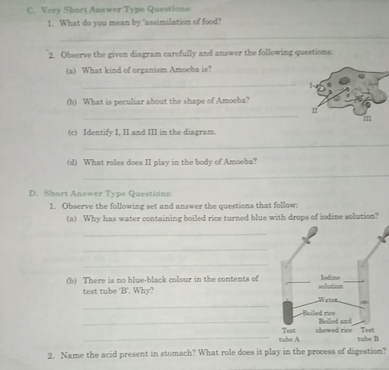 C. Very Short Answer Type Questions:
1. What do you mean by 'assimilat