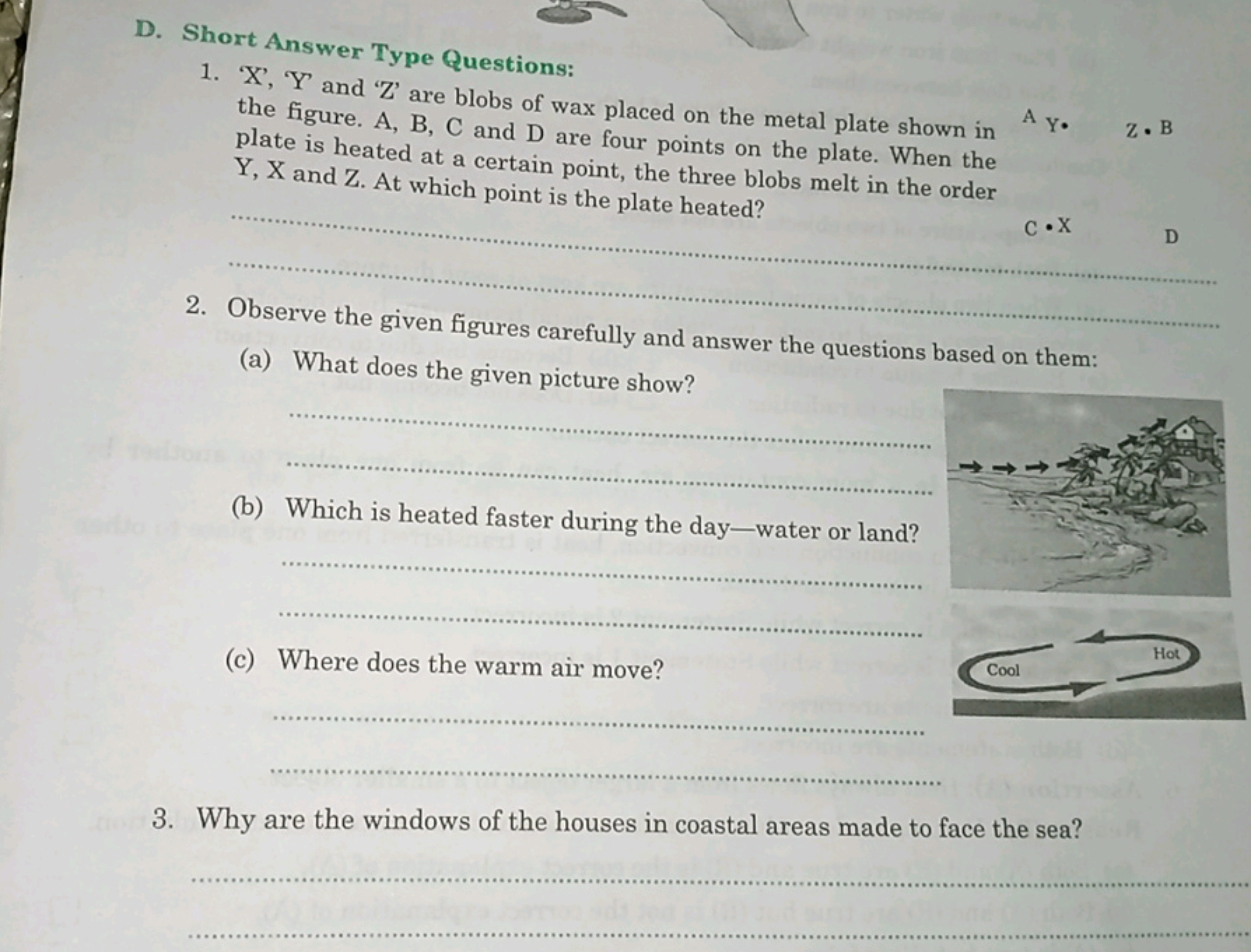 D. Short Answer Type Questions:
1. ' X ', ' Y ' and ' Z ' are blobs of