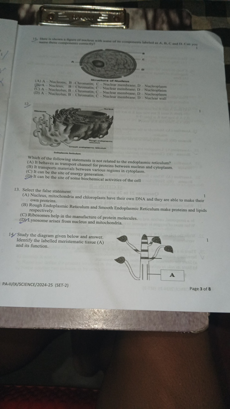  mame these compoments correctly?
1
(A) A Nucleons; B -Chromatin; Cowr