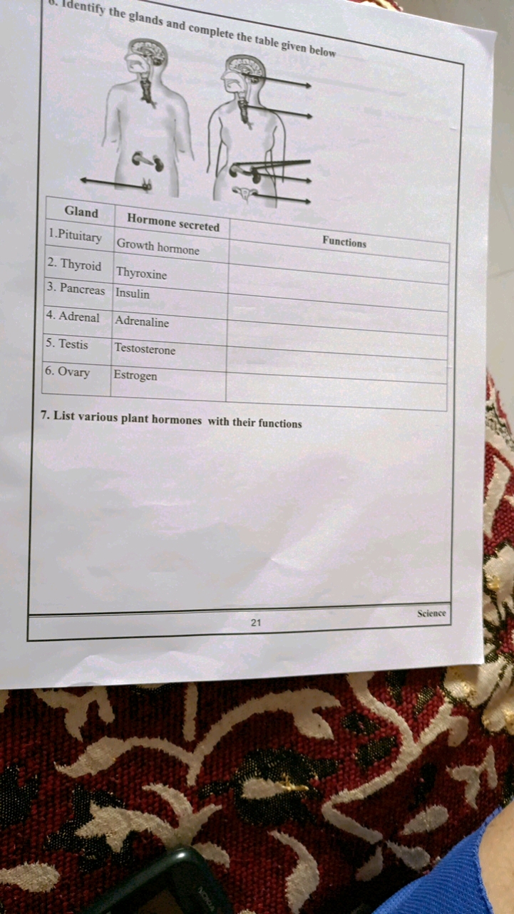 0. Identify the glands and complete the table given below
\begin{tabul