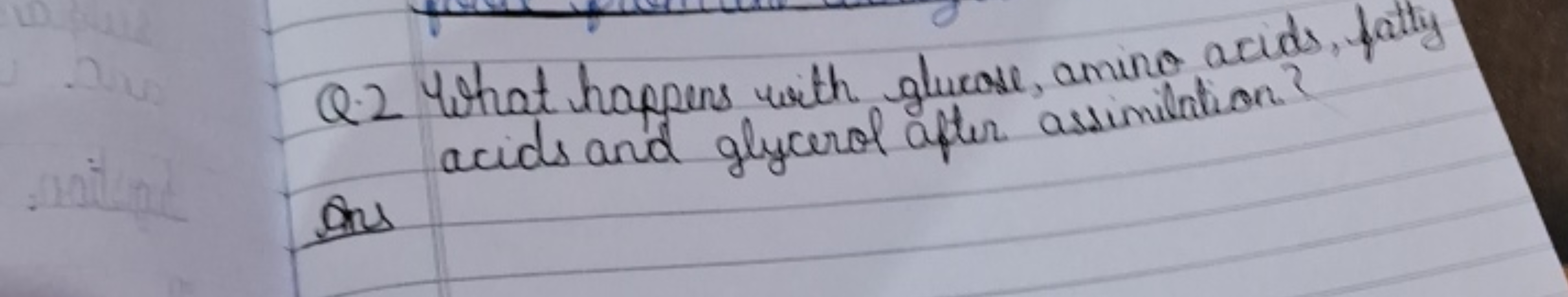 Q. What happens with gluase, amino acids, fatty acids and glycerol apt