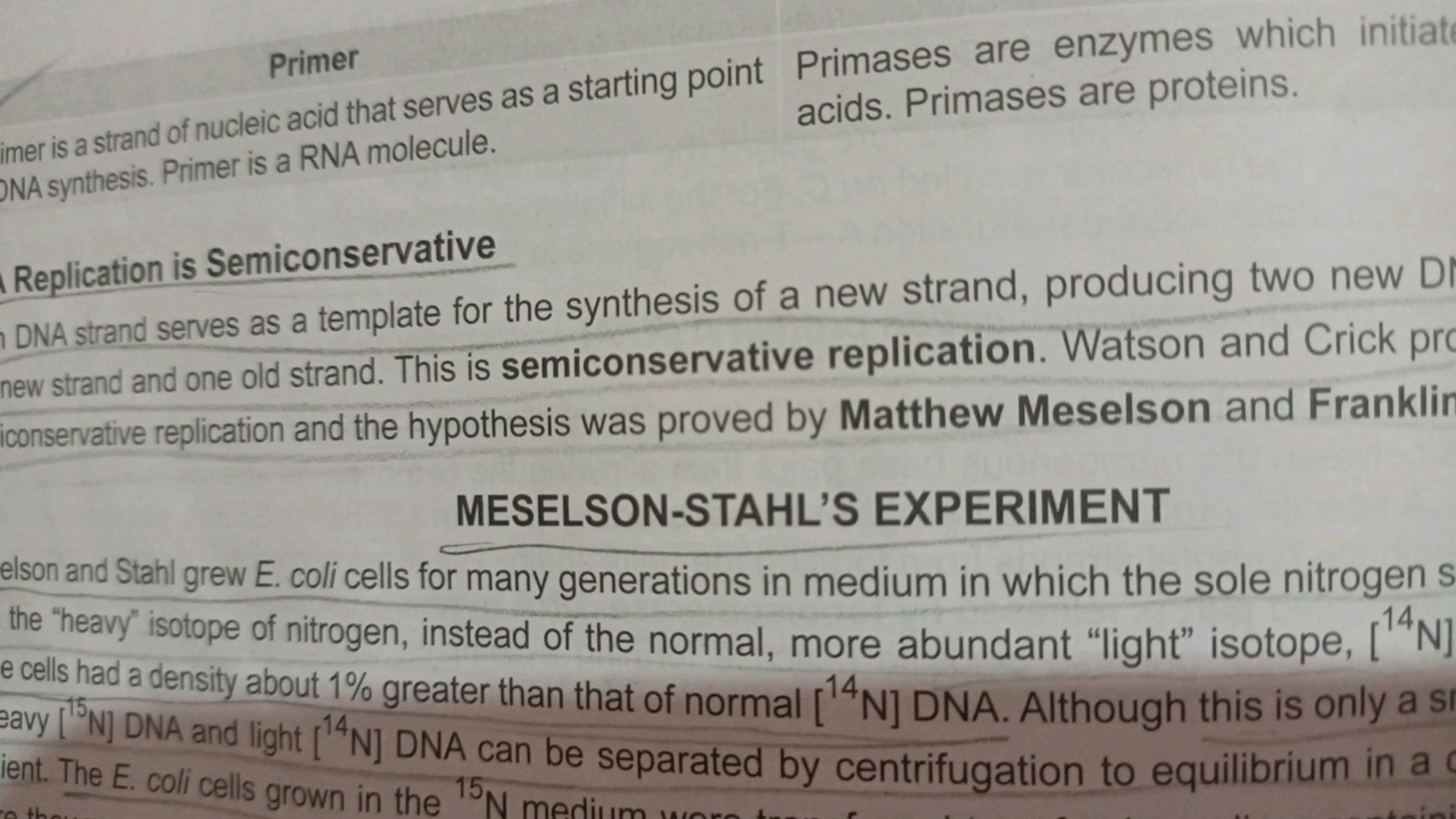 imer is a strand of nucleic acid that serves as a starting point Prima