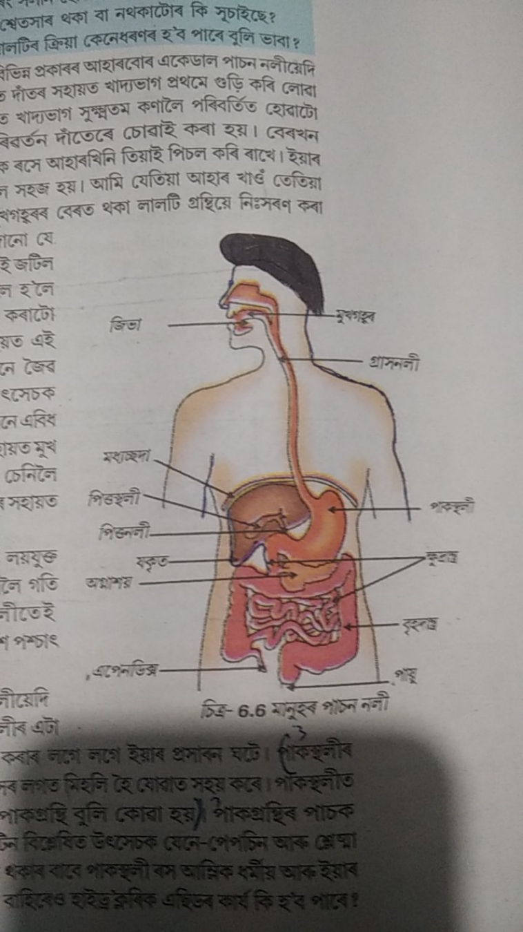 শ্মেতসাব थকা বা নथকটোব কि সূচাইছে?
5 माँত्ब সशায়ত चাদ্যভাগ প্রथমে खड़