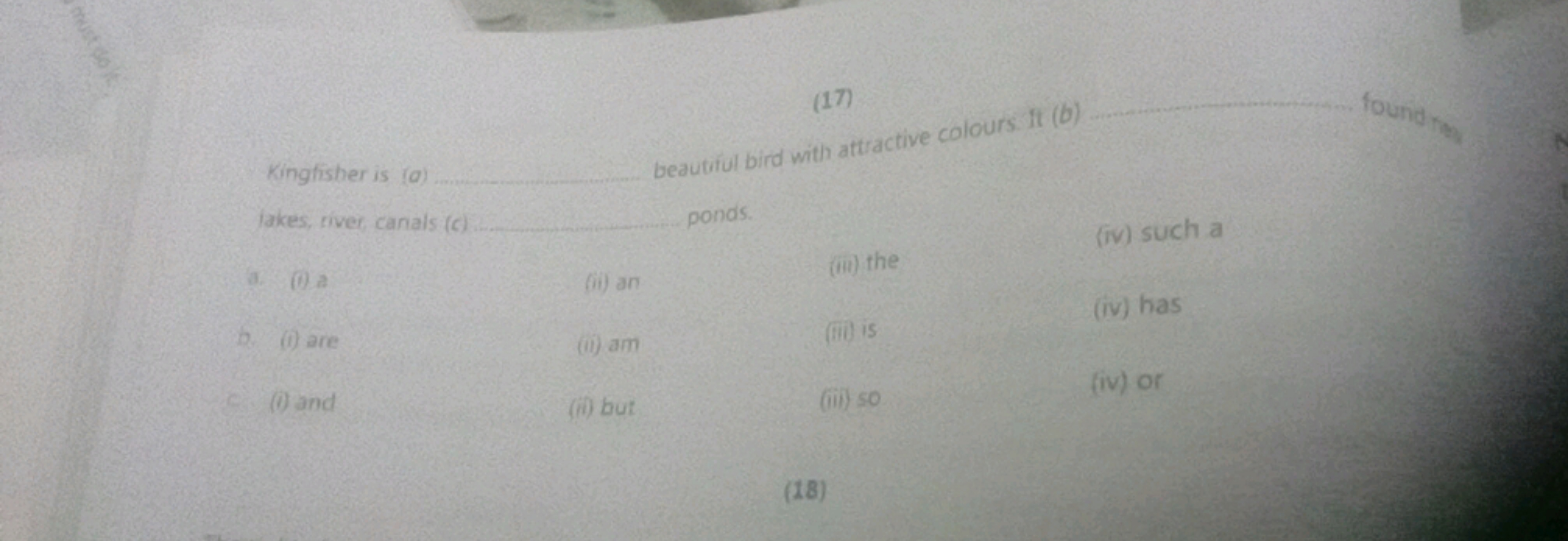 (17) 

Kingfisher is (a)  beautriul bird with artractive colours if (b