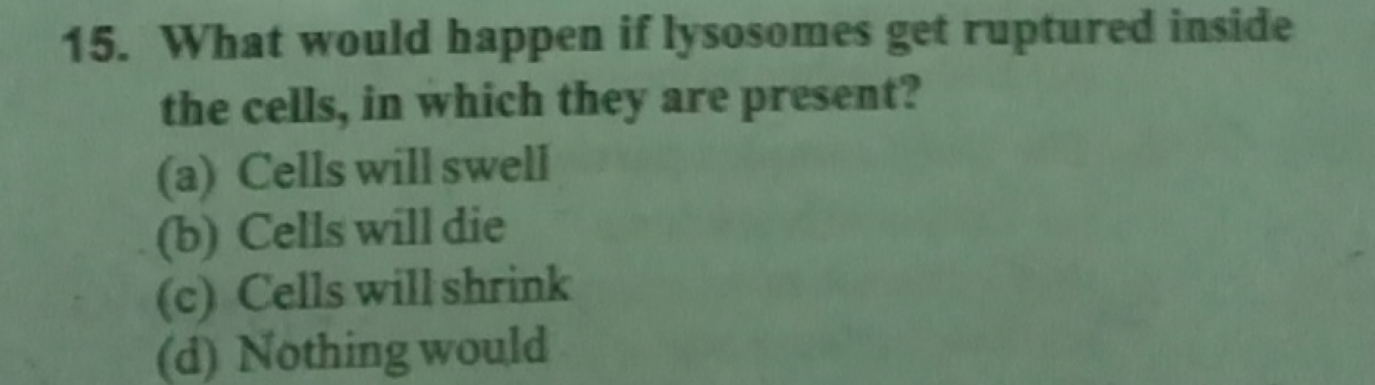 15. What would happen if lysosomes get ruptured inside the cells, in w