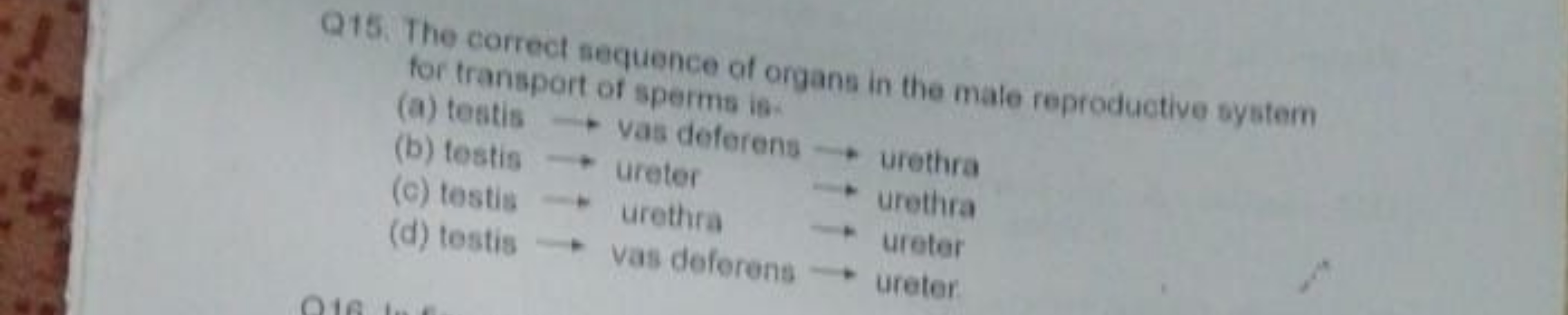 Q15. The correct sequence of organs in the male reproductive system fo