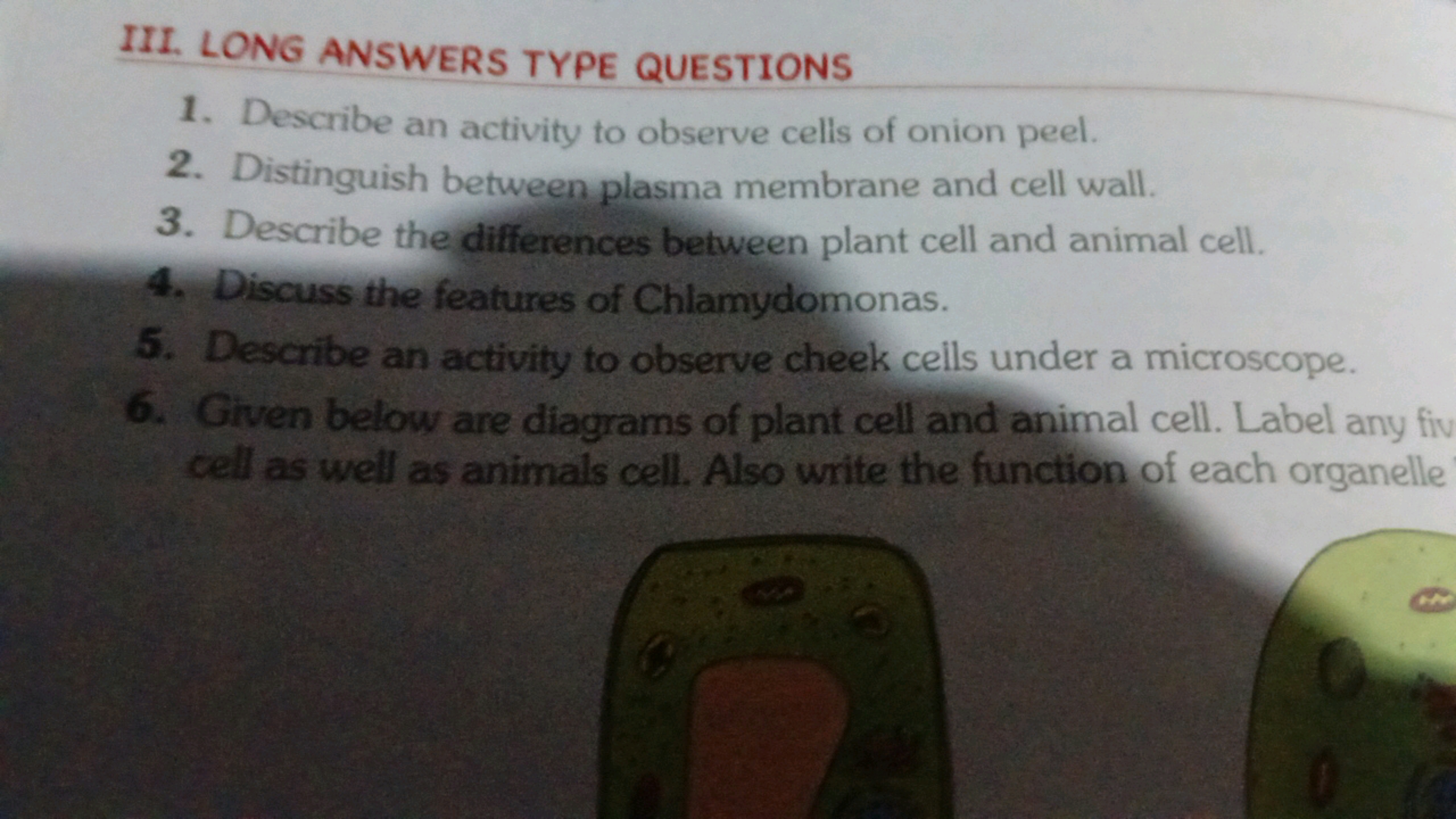 III. LONG ANSWERS TYPE QUESTIONS
1. Describe an activity to observe ce