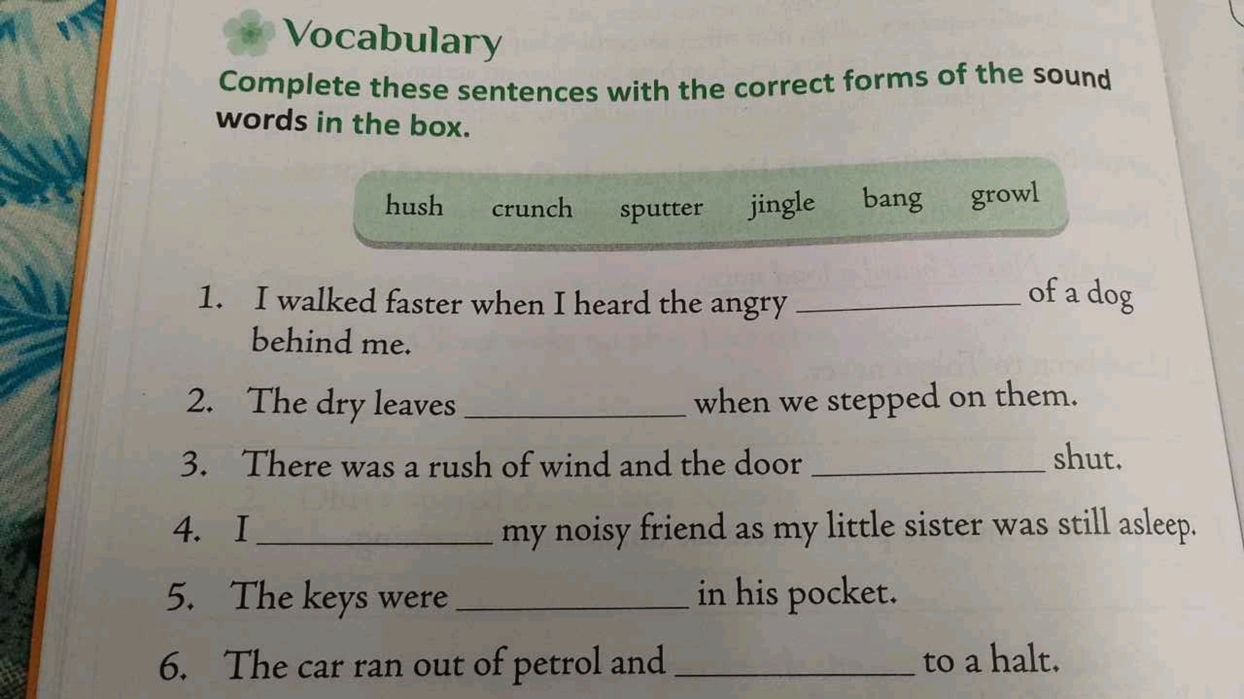 Vocabulary
Complete these sentences with the correct forms of the soun