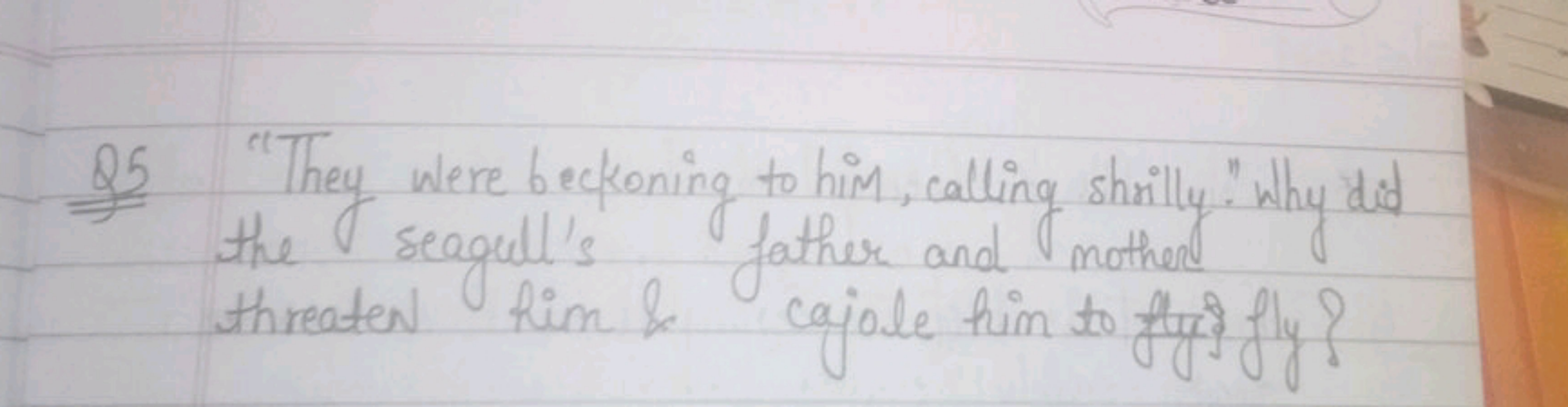 Q5 "They were beckoning to him, calling shrilly." Why did the seagull'