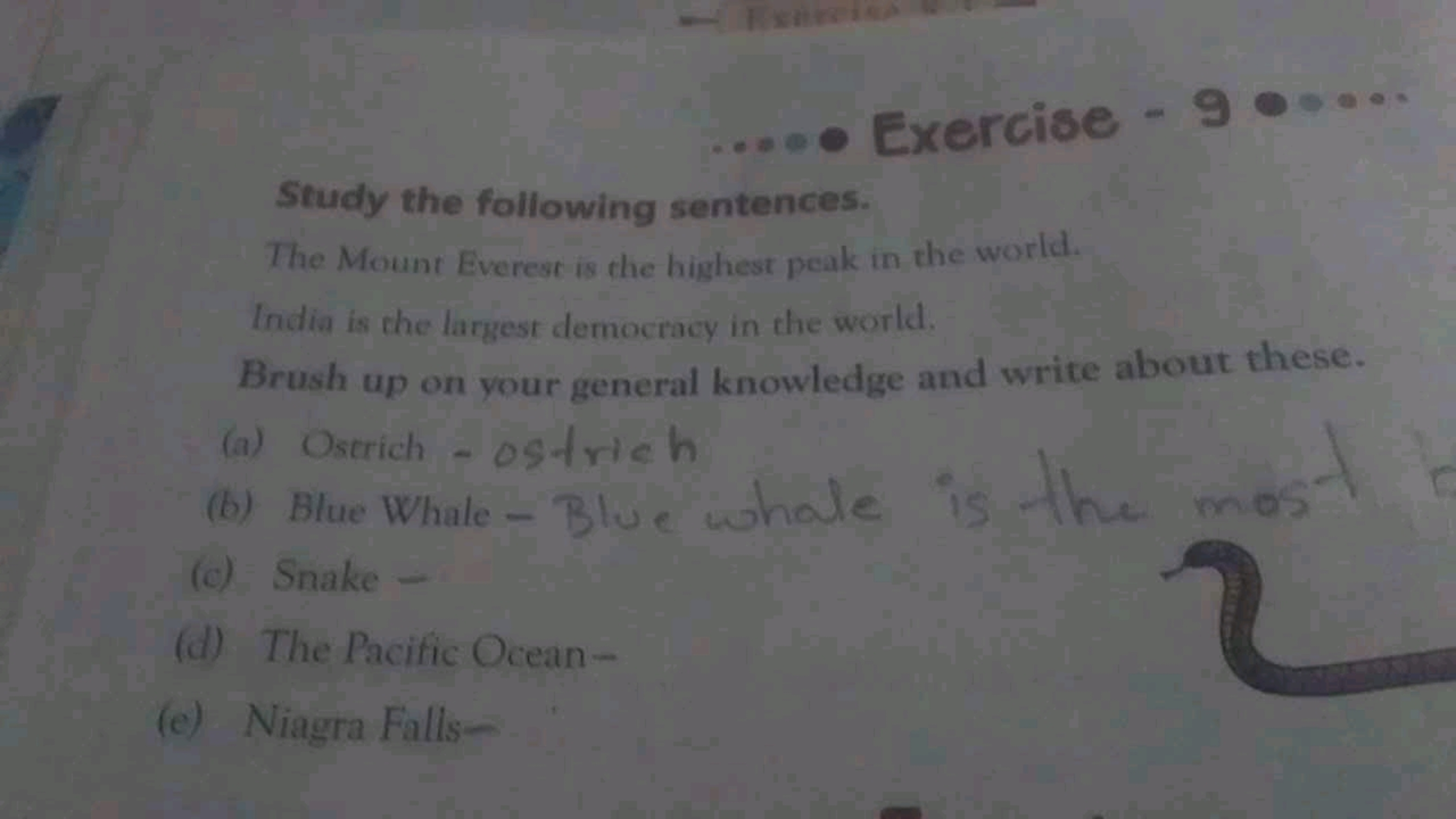 H
... Exercise - 9
Study the following sentences.
The Mount Everest is