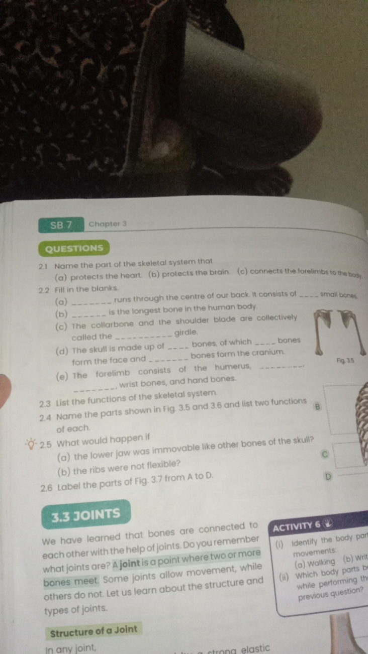 SB 7. chapter 3
QUESTIONS
2.1 Name the part of the skeletal system tha