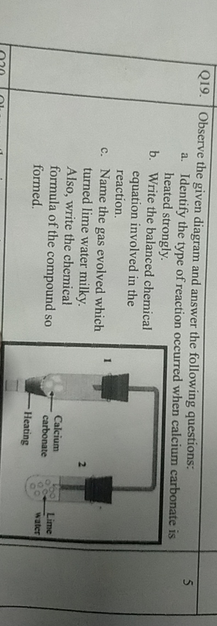 Q19. Observe the given diagram and answer the following questions:
a. 