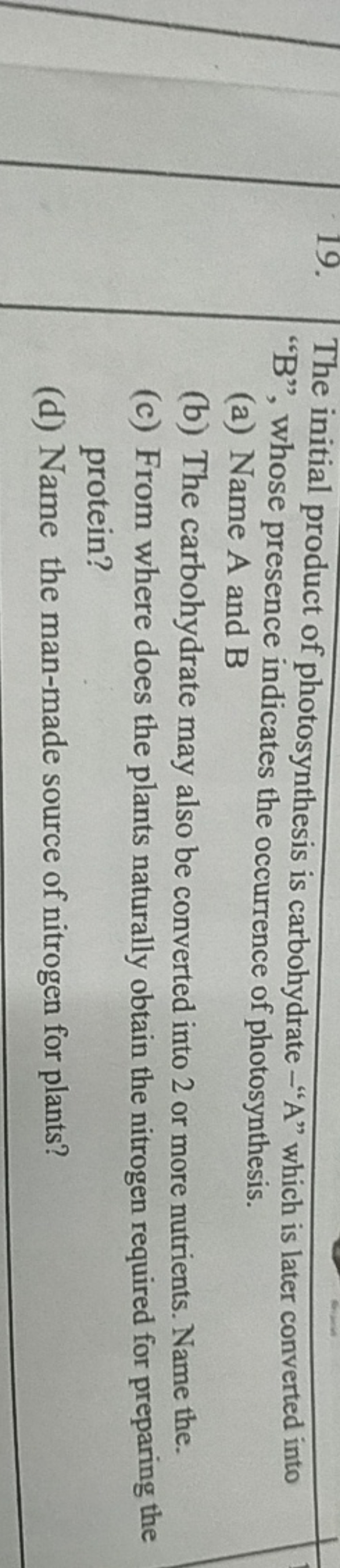 19. The initial product of photosynthesis is carbohydrate - "A" which 