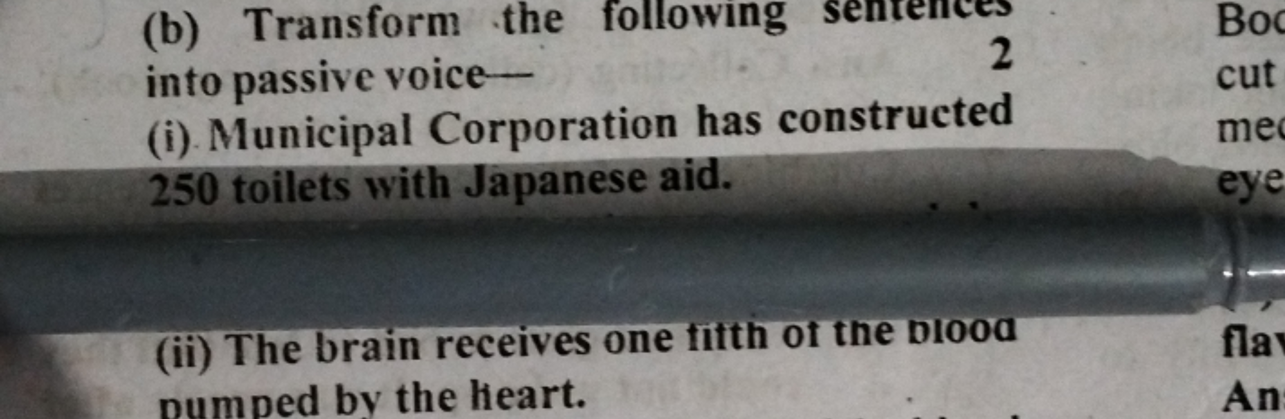 (b) Transform the following senteices into passive voice
2
(i) Municip