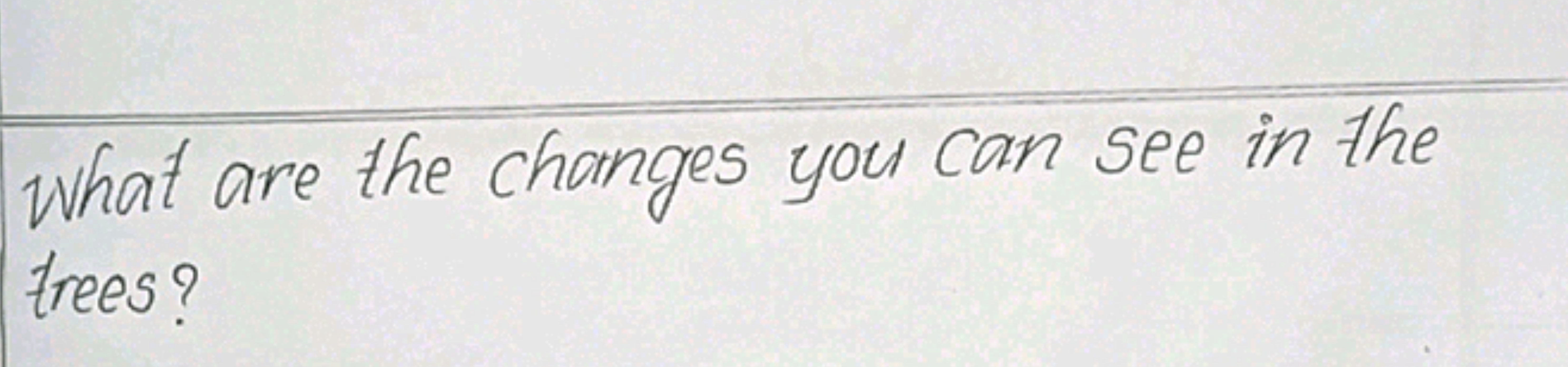 What are the changes you can see in the trees?