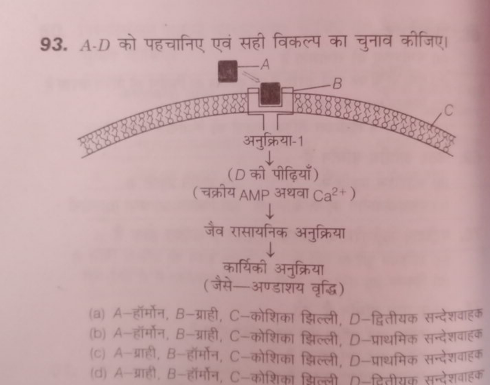 93. A−D को पहचानिए एवं सही विकल्प का चुनाव कीजिए।
( D की पीढ़ियाँ)
(चक