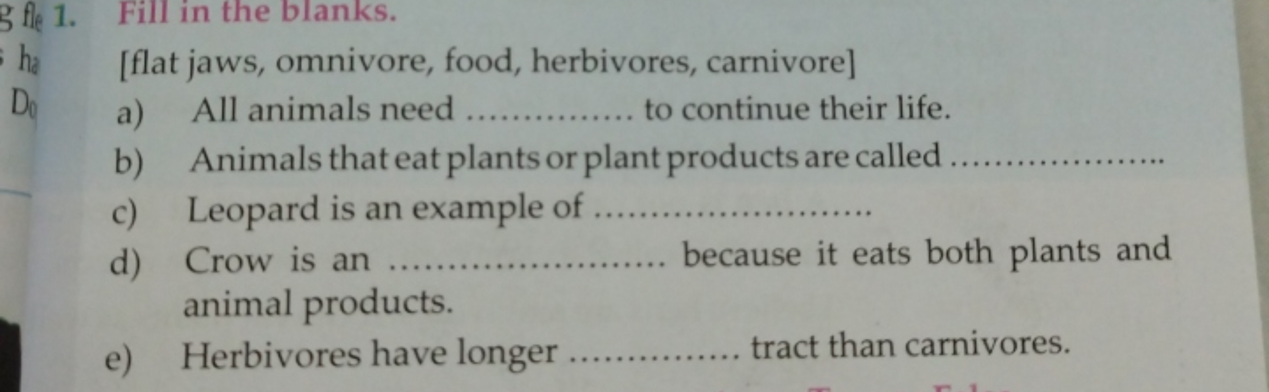 Fill in the blanks.
[flat jaws, omnivore, food, herbivores, carnivore]