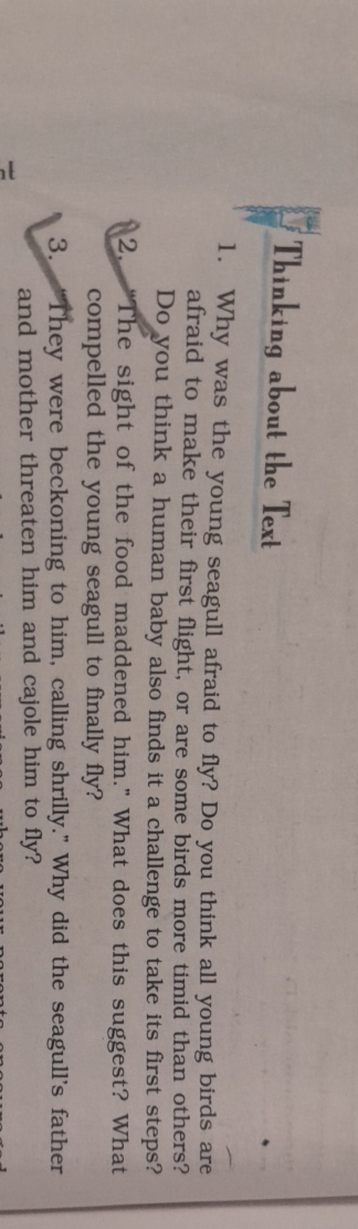 Thinking about the Text
1. Why was the young seagull afraid to fly? Do