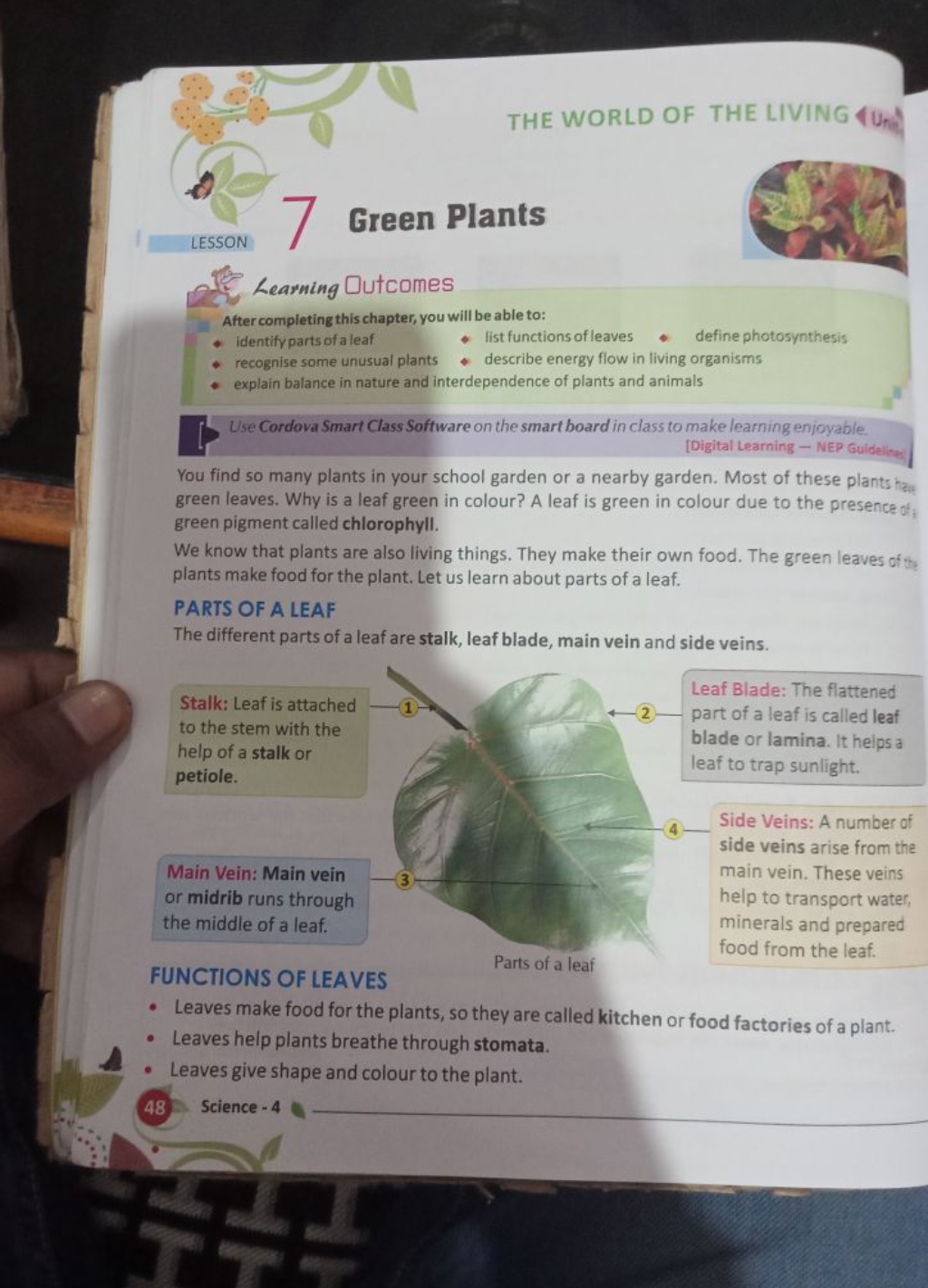 THE WORLD OF THE LIVING

Green Plants

Learning Dutcomes
After complet