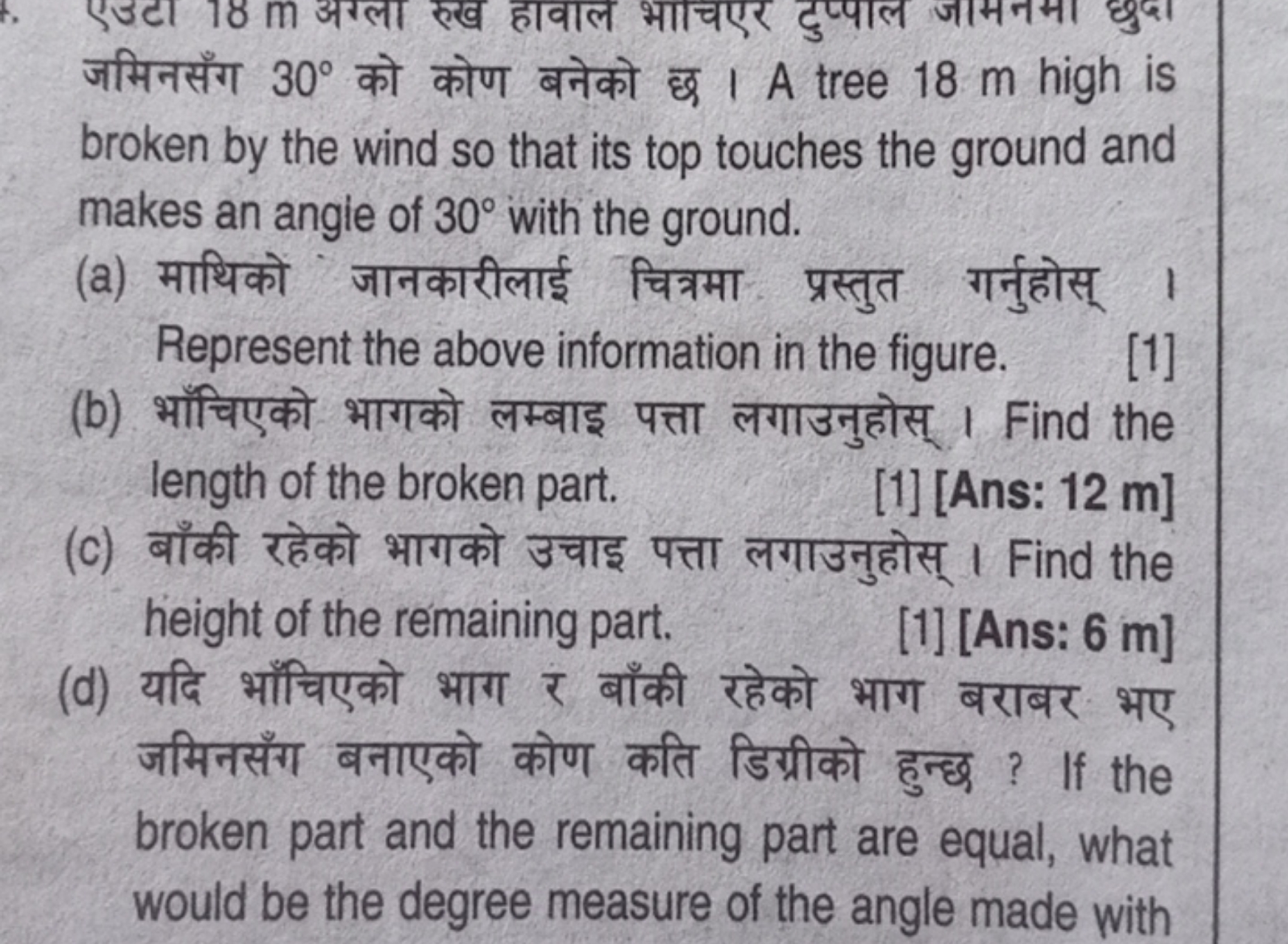 जमिनसँग 30∘ को कोण बनेको छ। A tree 18 m high is broken by the wind so 