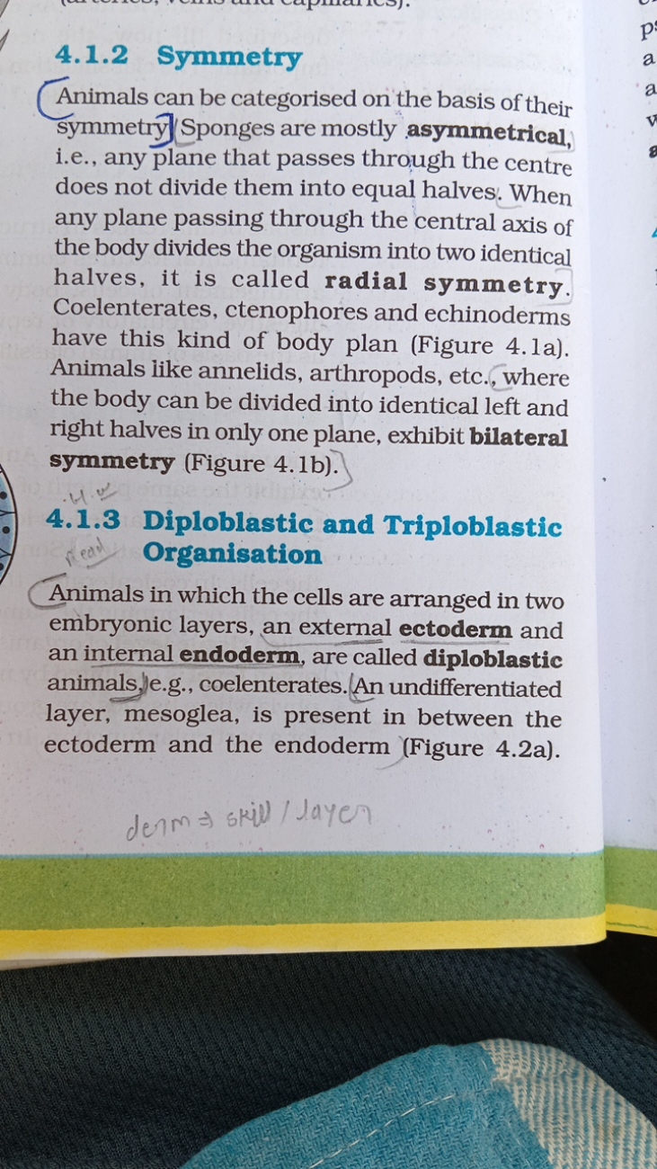 4.1.2 Symmetry

Animals can be categorised on the basis of their symme