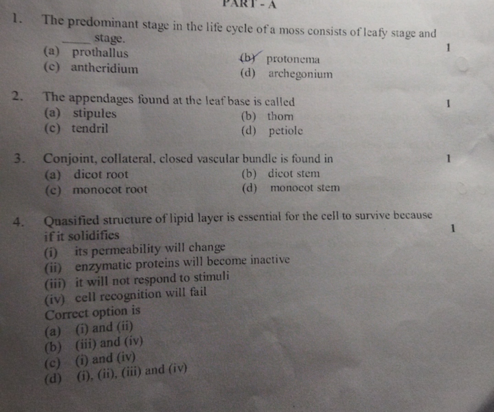 1. The predominant stage in the life cycle of a moss consists of leafy