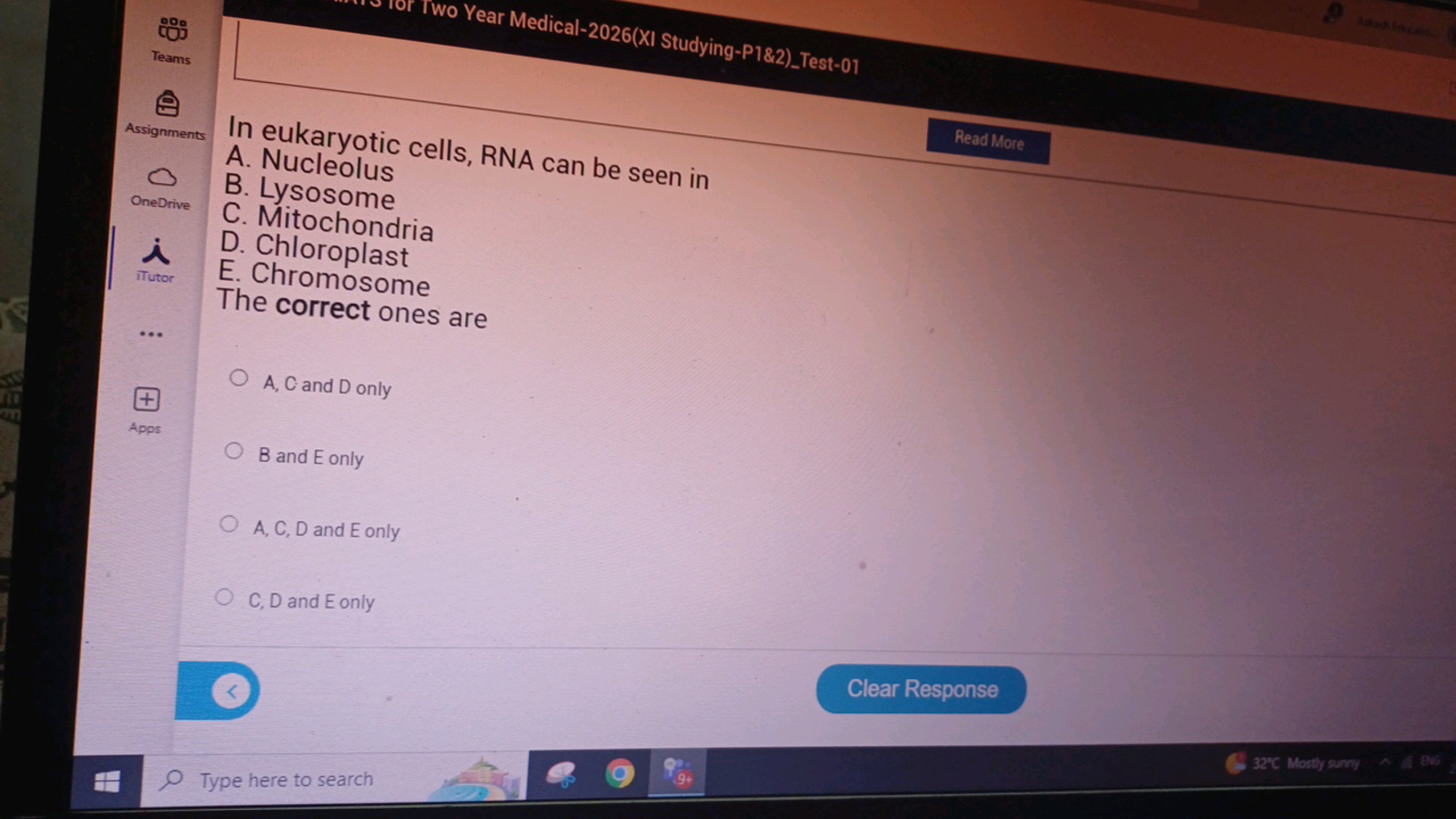 Assignments
In eukaryotic cells, RNA can be seen in
A. Nucleolus
Read 